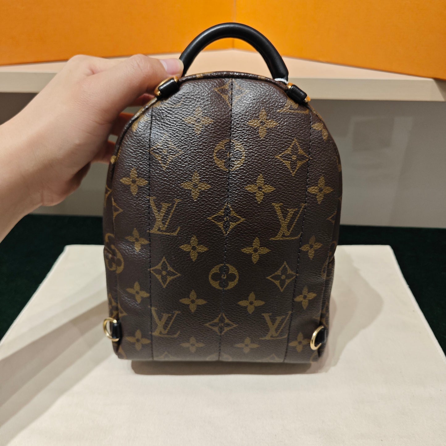 Louis Vuitton - Palm Springs Mini - Monogram coated canvas with leather trim - Brown - (mini)