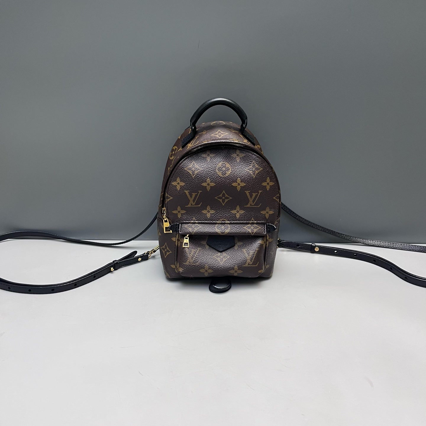 Louis Vuitton - Palm Springs Mini Backpack - Monogram coated canvas with leather trim - Brown - (mini)