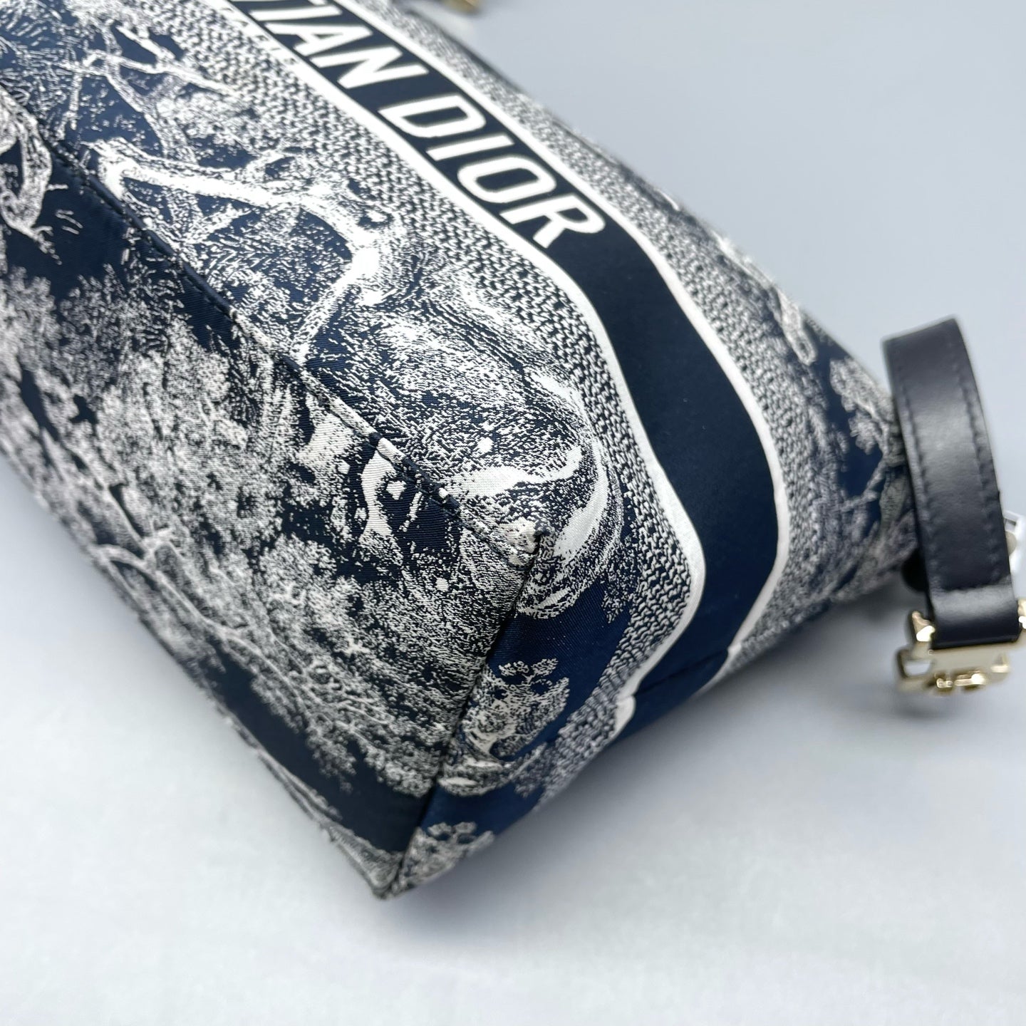 Dior - Dior Animal Kingdom Lunchbox Bag - Canvas with leather trim - Blue - (mini)