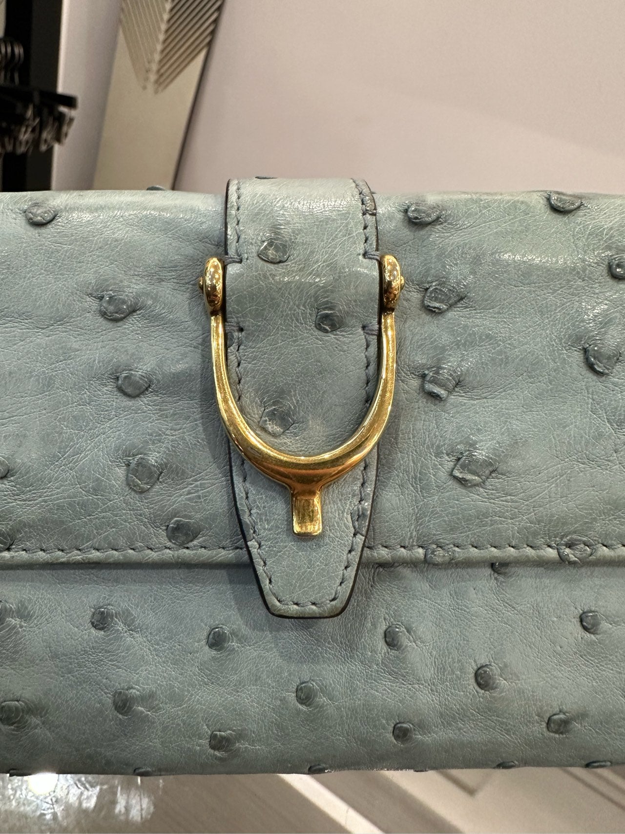 Gucci - Ostrich Leather Flap Wallet - Ostrich leather - Sky Blue with Gold-Tone Hardware - (Medium)