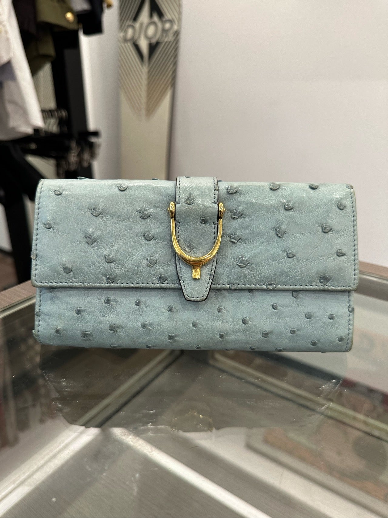 Gucci - Ostrich Leather Flap Wallet - Ostrich leather - Sky Blue with Gold-Tone Hardware - (Medium)