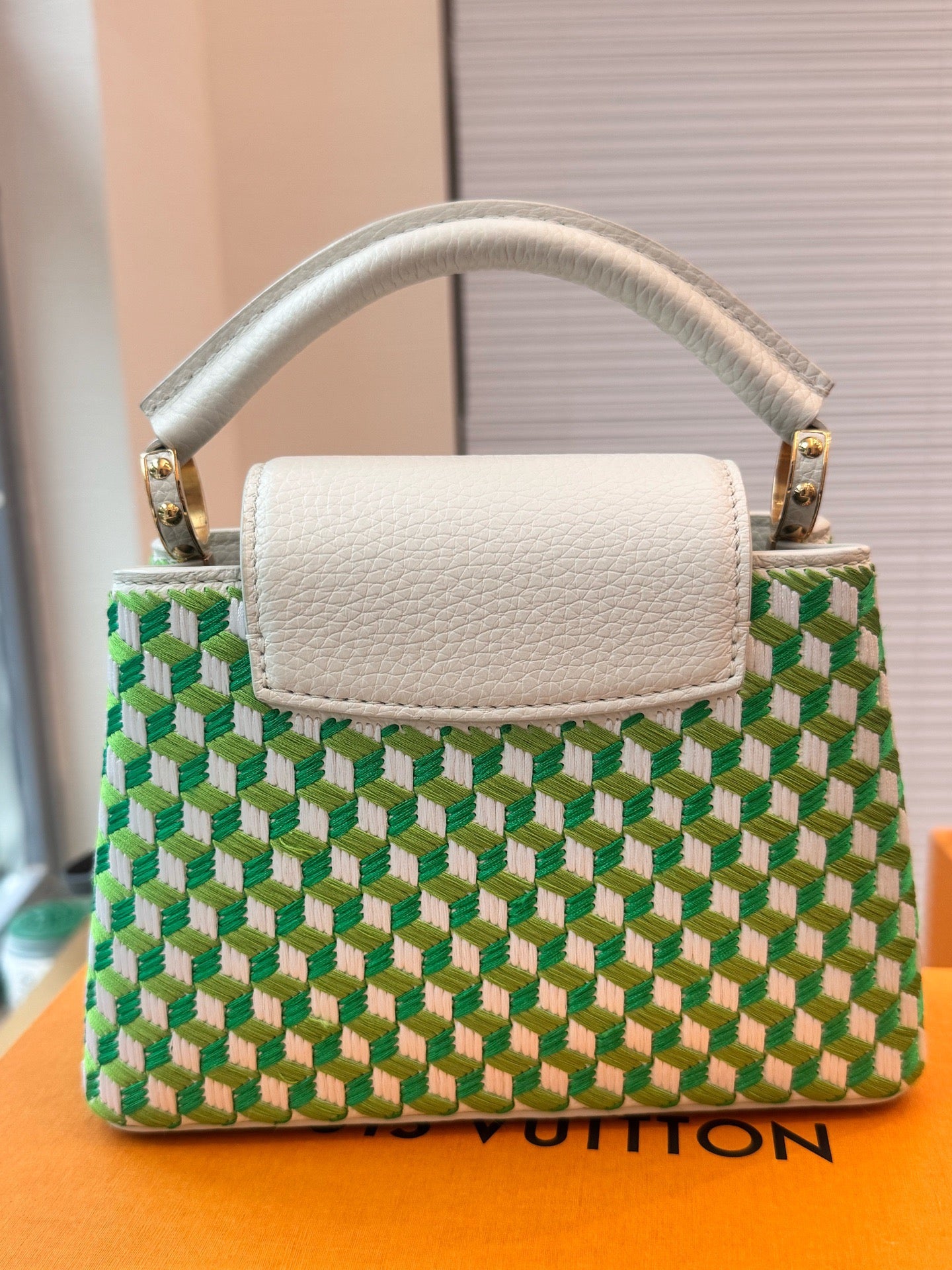 Louis Vuitton - Capucines Mini - Taurillon leather with embroidered textile - Green - (mini)
