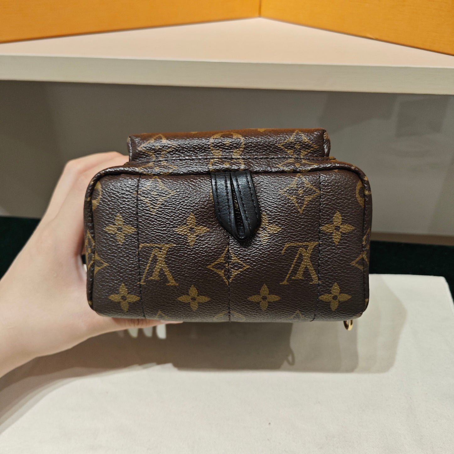 Louis Vuitton - Palm Springs Mini - Monogram coated canvas with leather trim - Brown - (mini)
