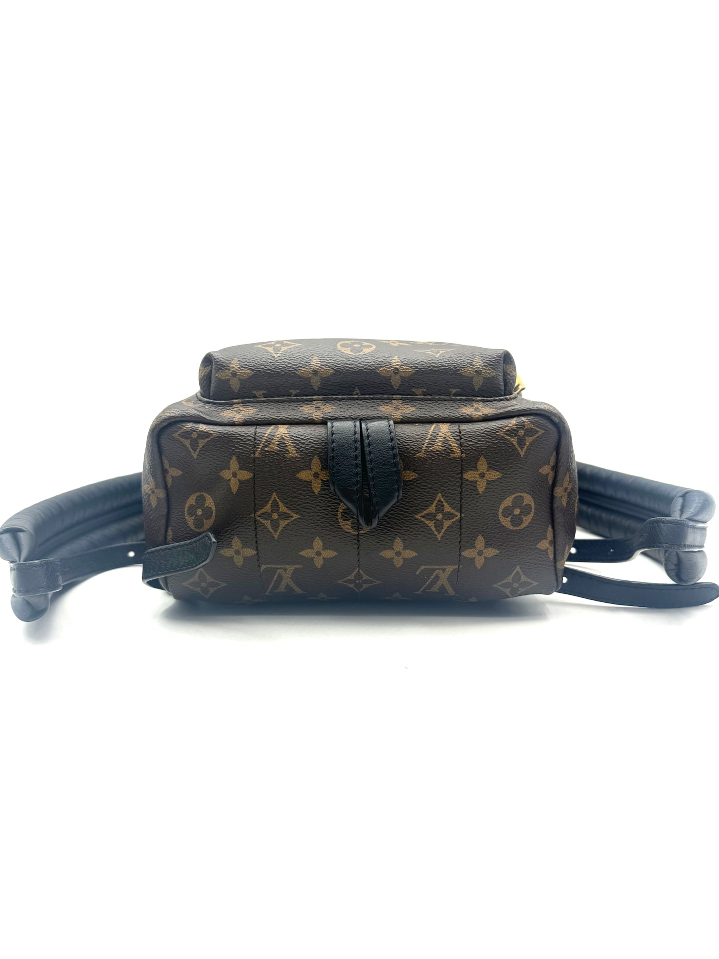 Louis Vuitton - Palm Springs Mini Backpack - Coated canvas and soft cowhide leather - Brown and Black - (mini)