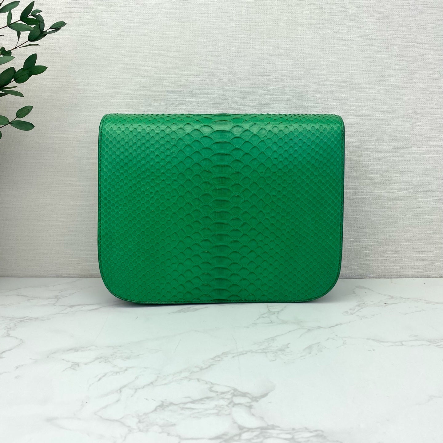 Celine - Classic Box - Exotic leathers - Python - Green - (small)