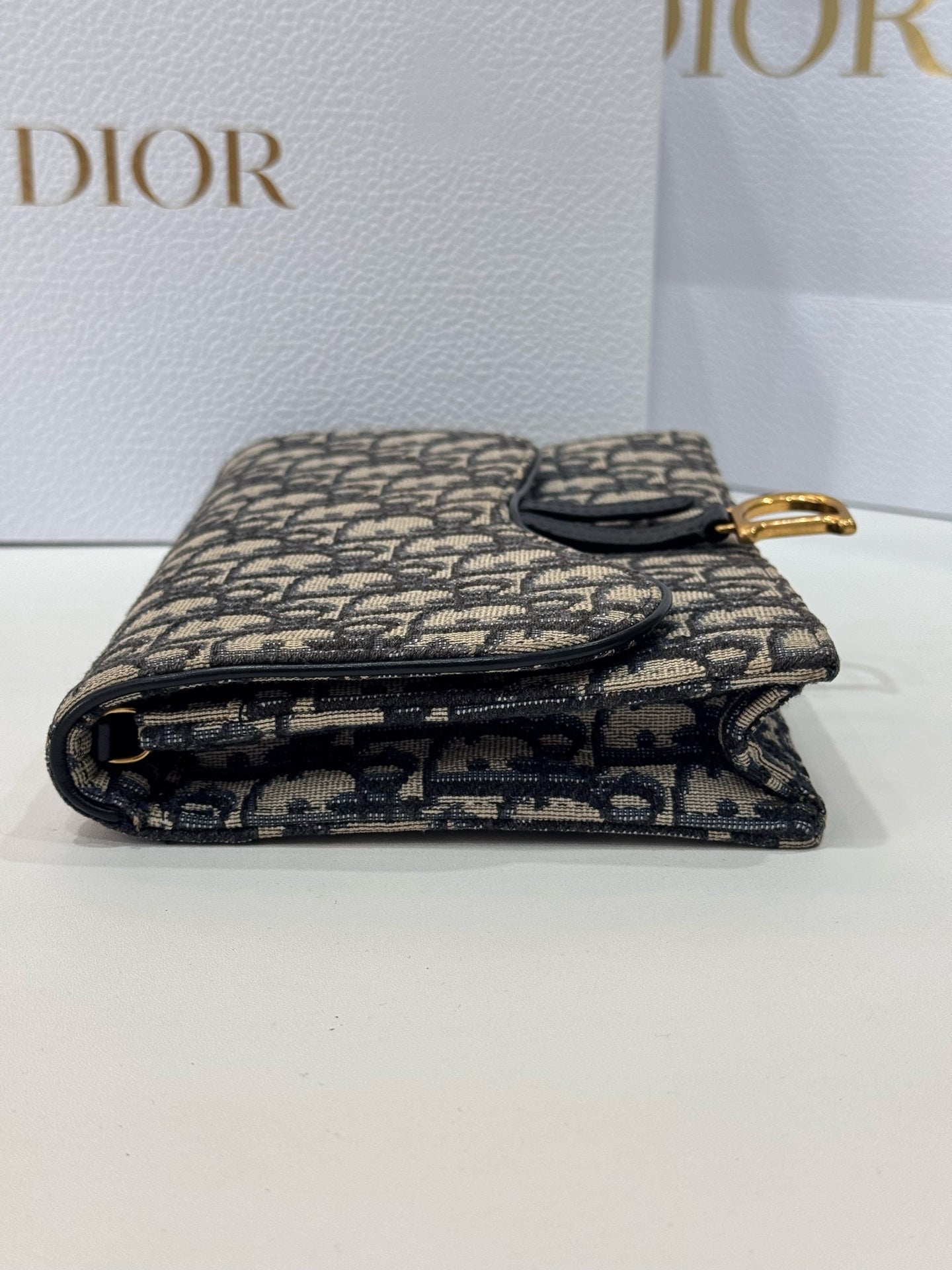 Dior - Saddle WOC (Wallet on Chain) - Dior Oblique jacquard canvas with leather trim - Beige - (mini)
