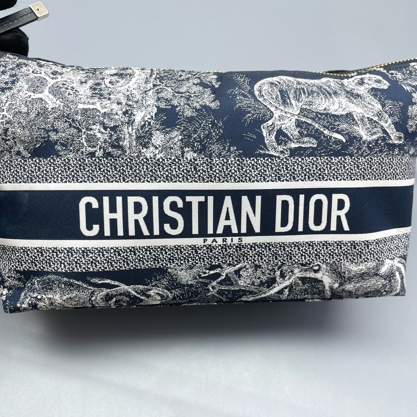 Dior - Dior Animal Kingdom Lunchbox Bag - Canvas with leather trim - Blue - (mini)
