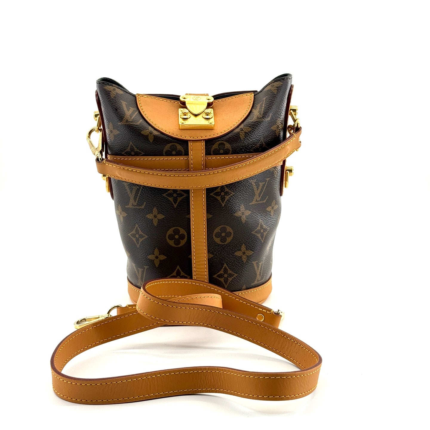 Louis Vuitton - Cannes - Monogram coated canvas and Vachetta leather - Brown - (mini)