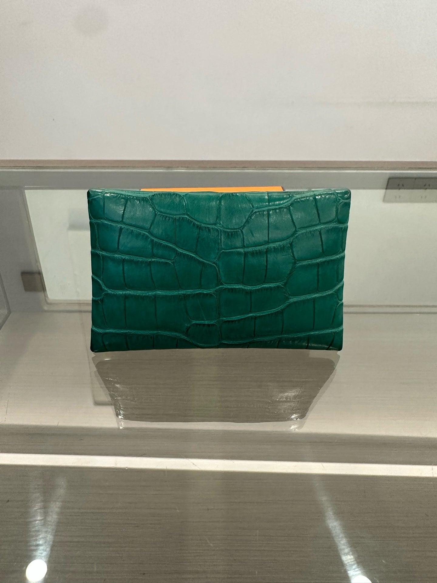 Hermès - Calvi - Exotic leathers - Crocodile - Green - (mini)