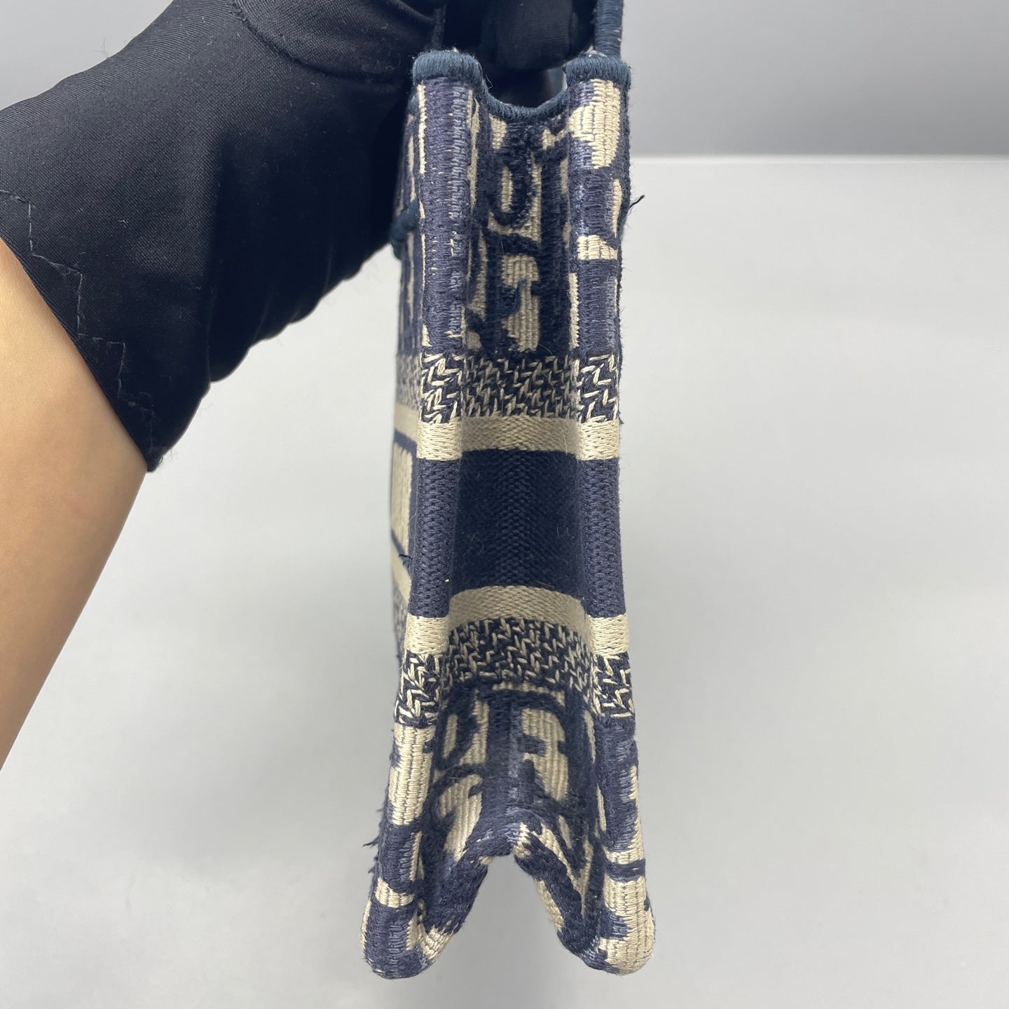 Dior - Book Tote Mini - Cloth - Blue - (mini)