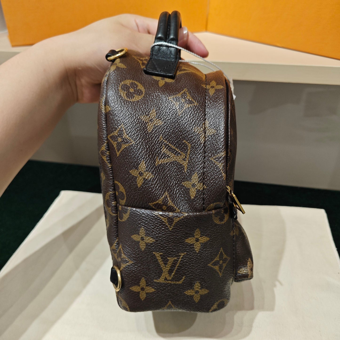 Louis Vuitton - Palm Springs Mini - Monogram coated canvas with leather trim - Brown - (mini)