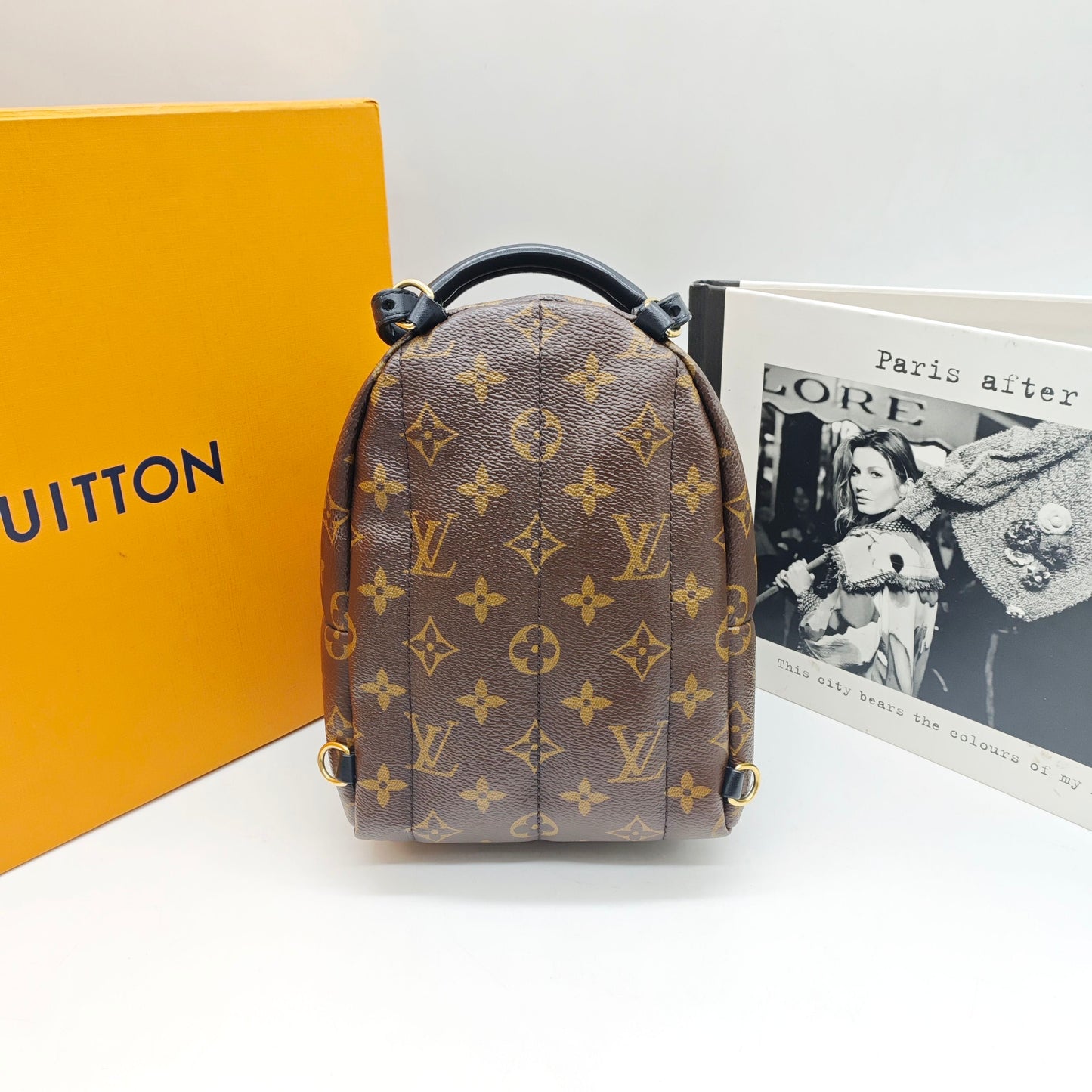 Louis Vuitton - Palm Springs Backpack Mini - Monogram coated canvas with leather trim - Brown, Black - (mini)