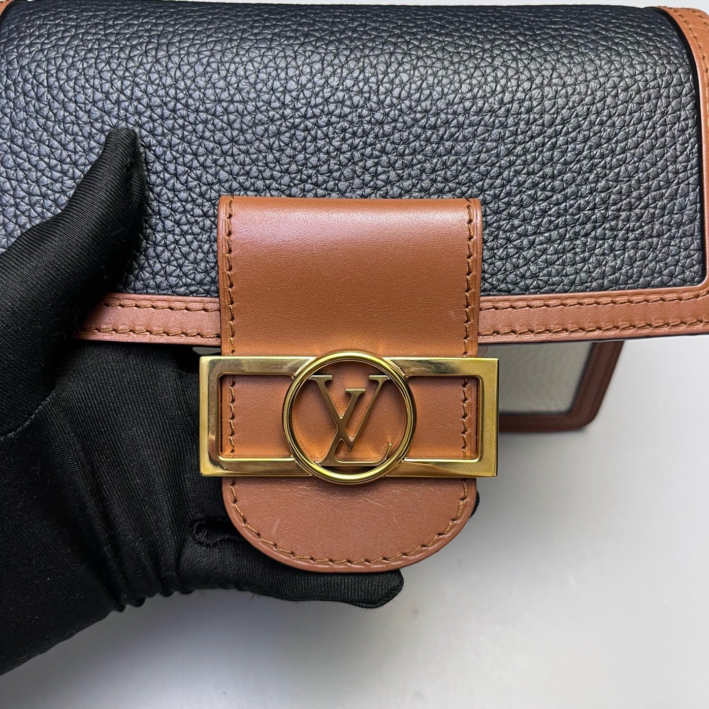 Louis Vuitton - Dauphine - Grained leather and smooth leather - Multicolour - (Mini)