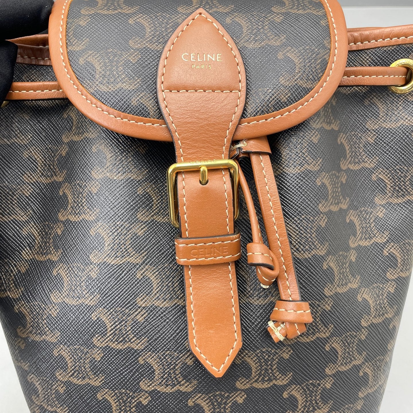 Celine - Triomphe Canvas Mini Backpack - Triomphe canvas and leather - Brown - (mini)