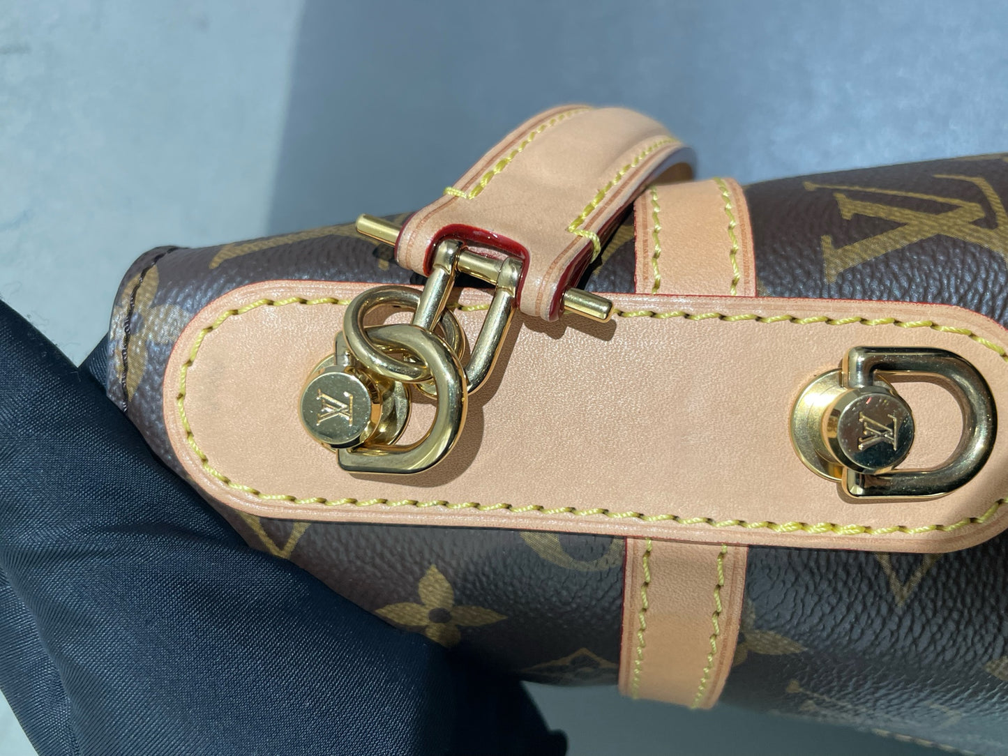 Louis Vuitton - Cannes Bag - Monogram coated canvas and Vachetta leather - Brown - (mini)