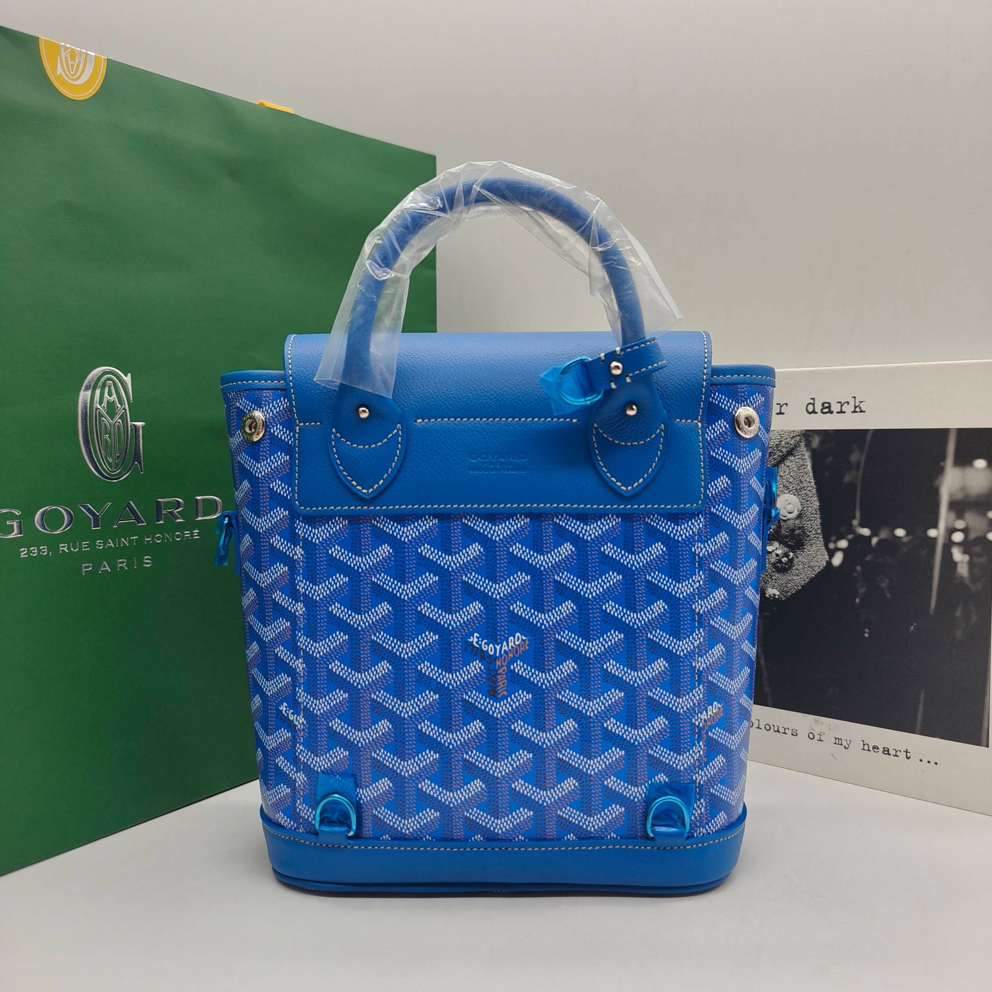Goyard - Alpin Mini - Goyardine canvas and leather trim - Blue - (mini)