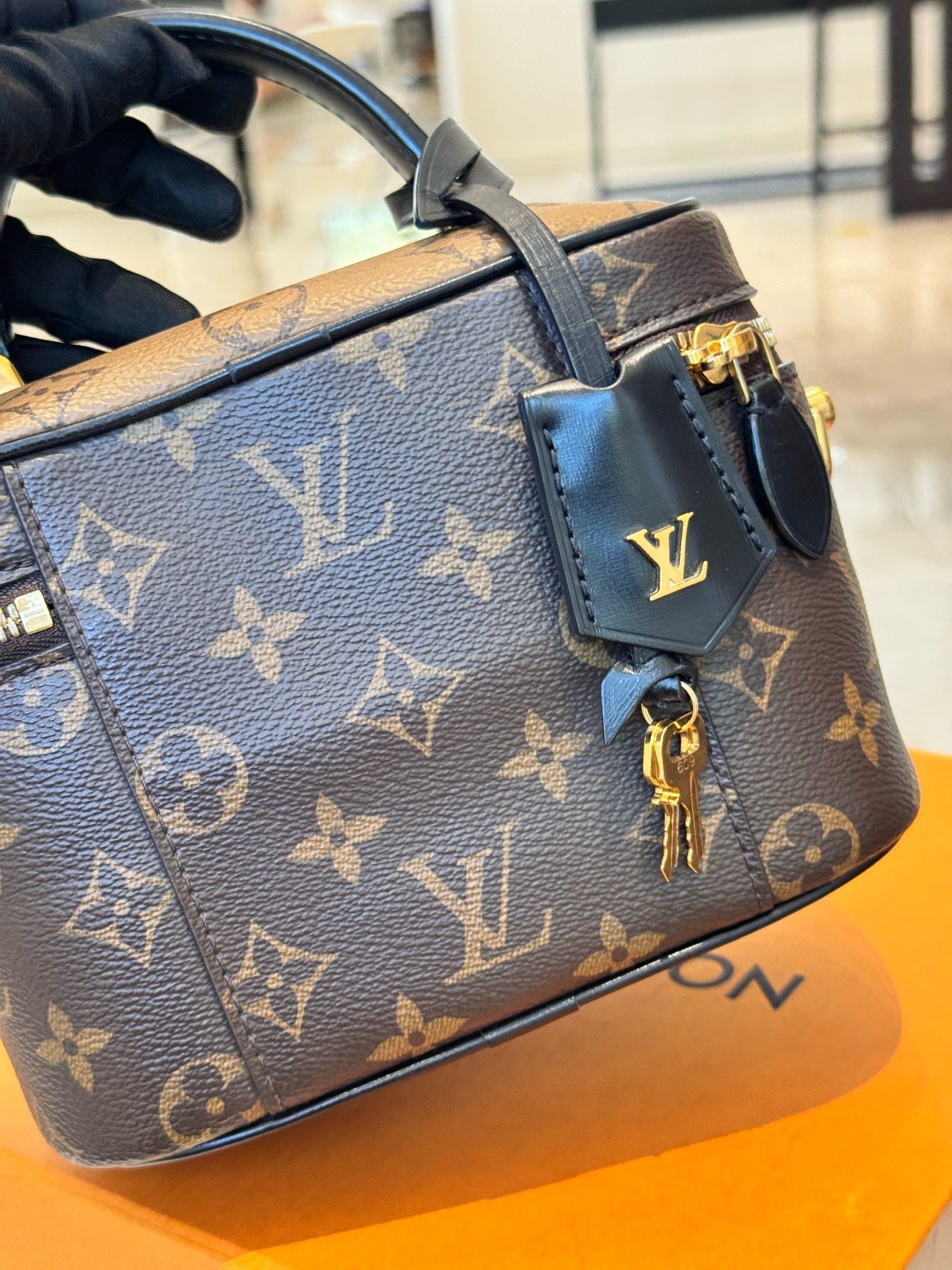 Louis Vuitton - Cosmetic Box Bag - Monogram coated canvas with leather trim - Brown - (mini)