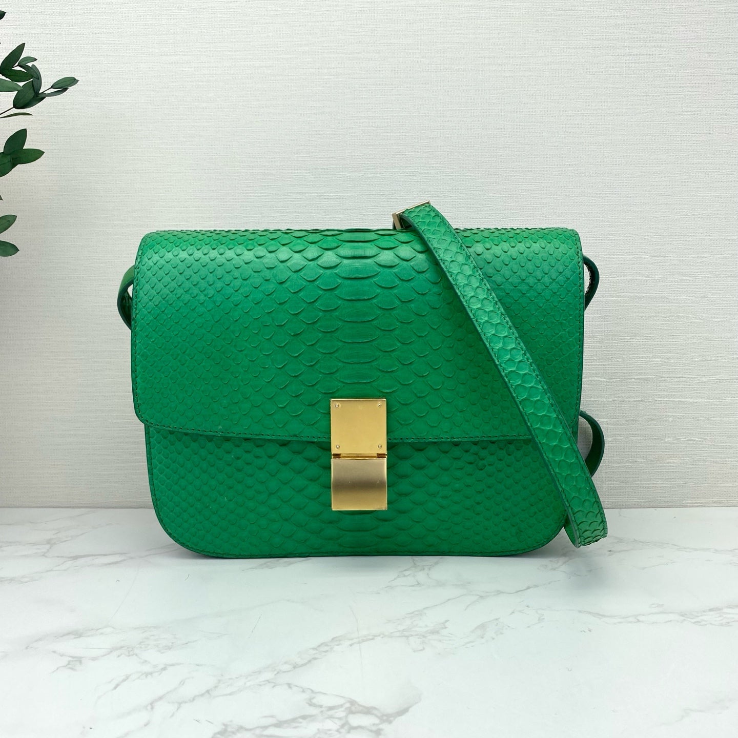 Celine - Classic Box - Exotic leathers - Python - Green - (small)
