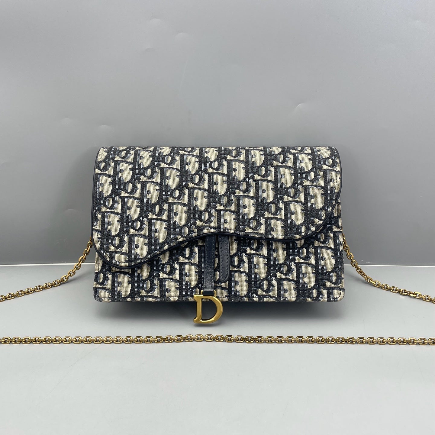 Dior - Dior Oblique Wallet on Chain - Canvas - Blue - (mini)