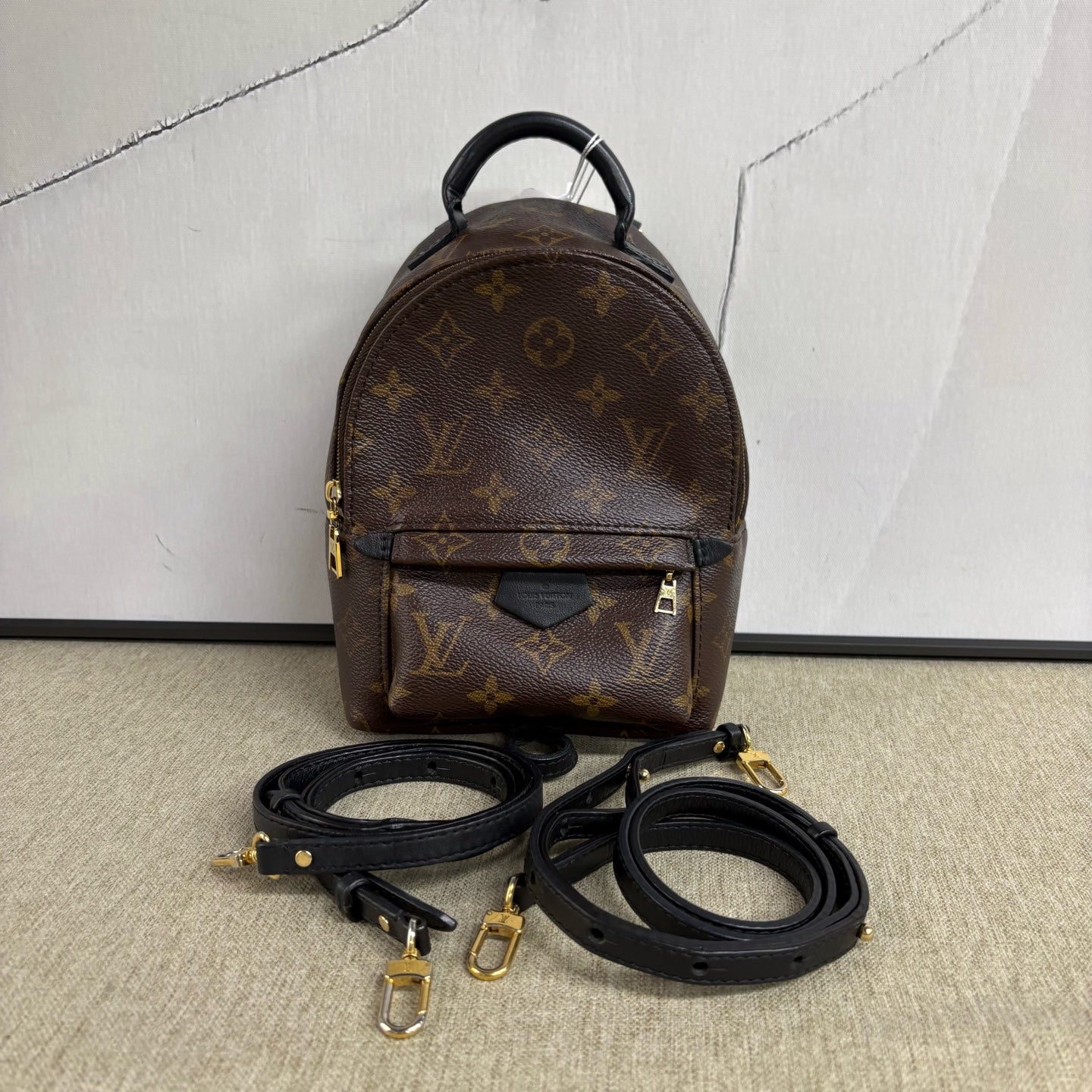 Louis Vuitton - Palm Springs Mini Backpack - Monogram coated canvas with leather trim - Brown - (mini)