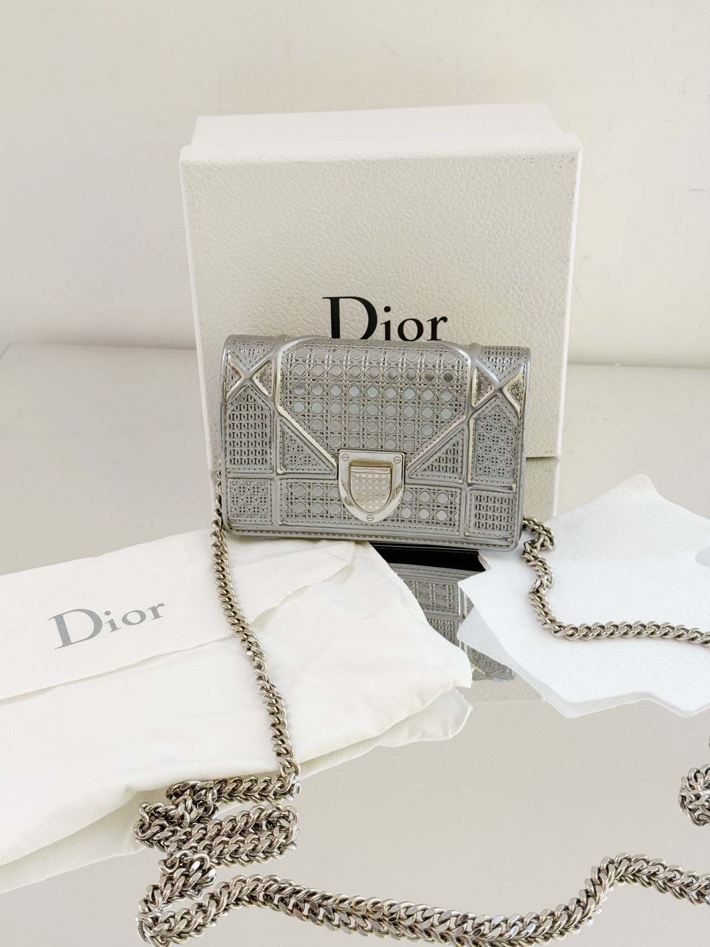 Dior - AMA Shield Mini Bag - Metallic leather - Silver - (mini)