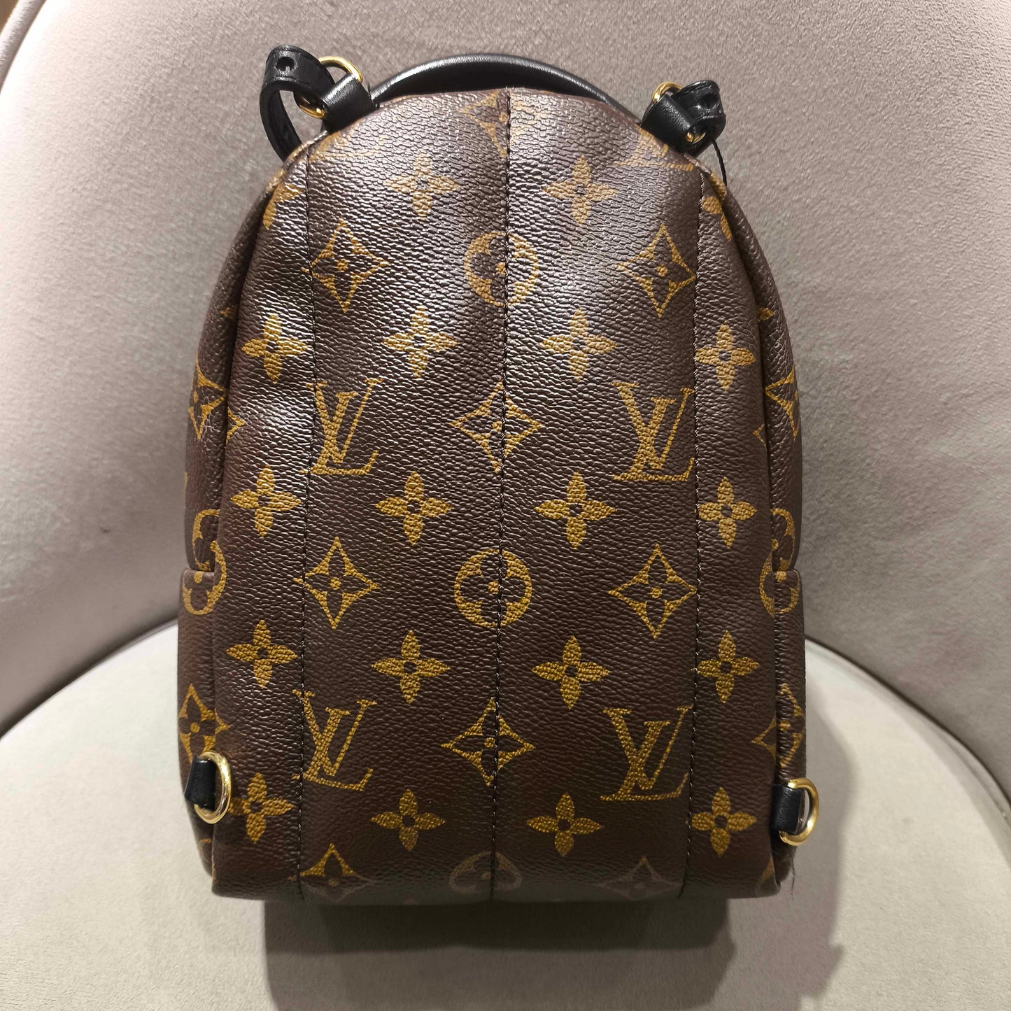 Louis Vuitton - Palm Springs Backpack Mini - Monogram coated canvas with leather trim - Brown, Black - (mini)