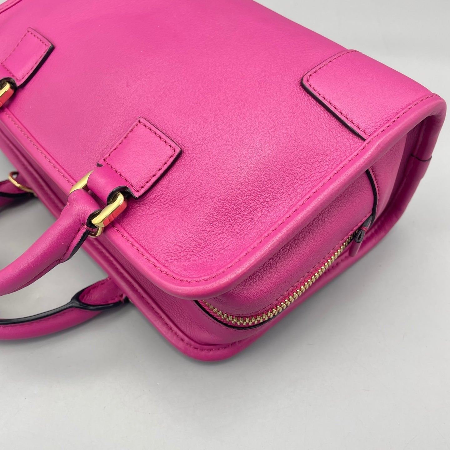 Loewe - Amazona - Grained leather - Fuchsia Pink with Gold-Tone Hardware - (mini)