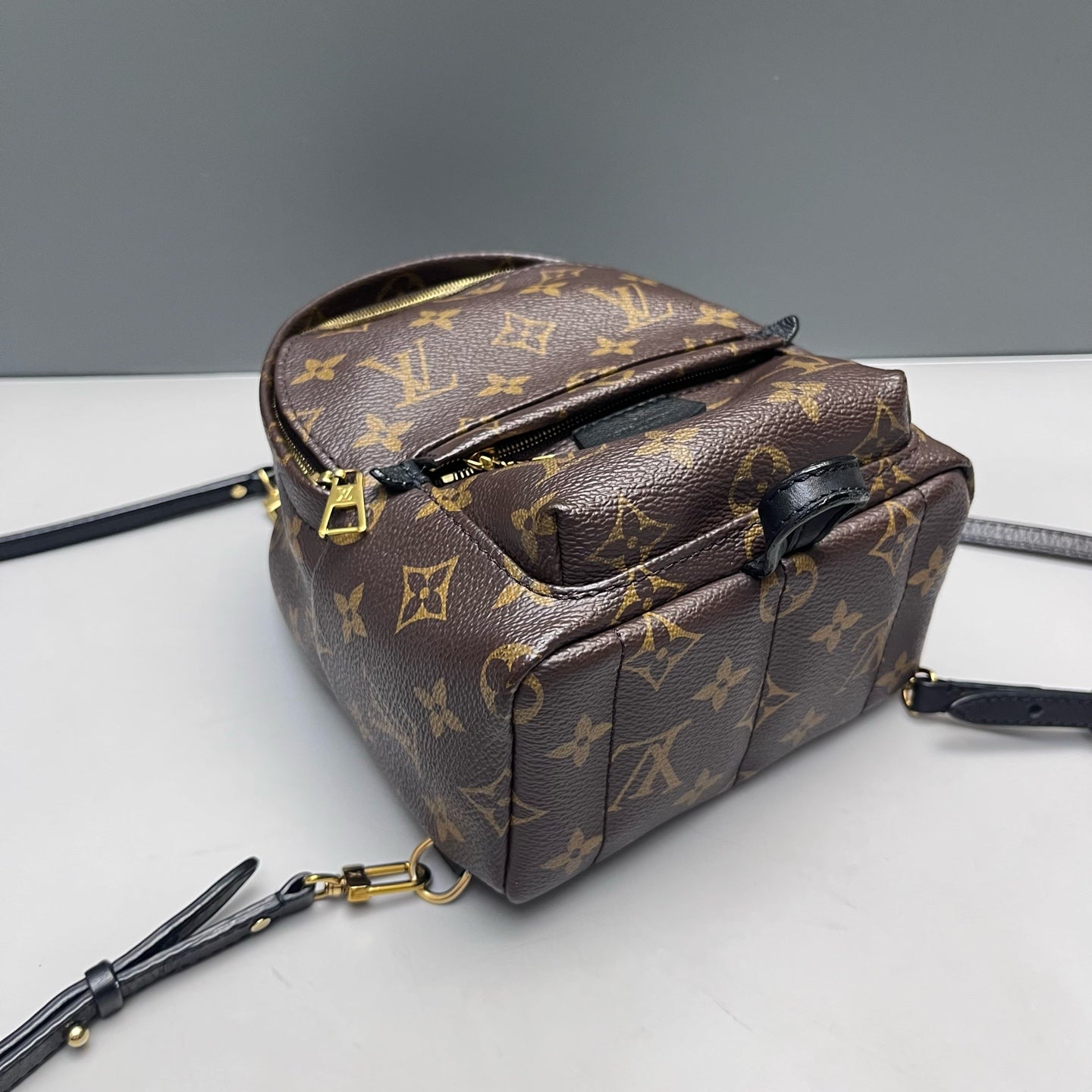 Louis Vuitton - Palm Springs Mini Backpack - Monogram coated canvas with leather trim - Brown - (mini)