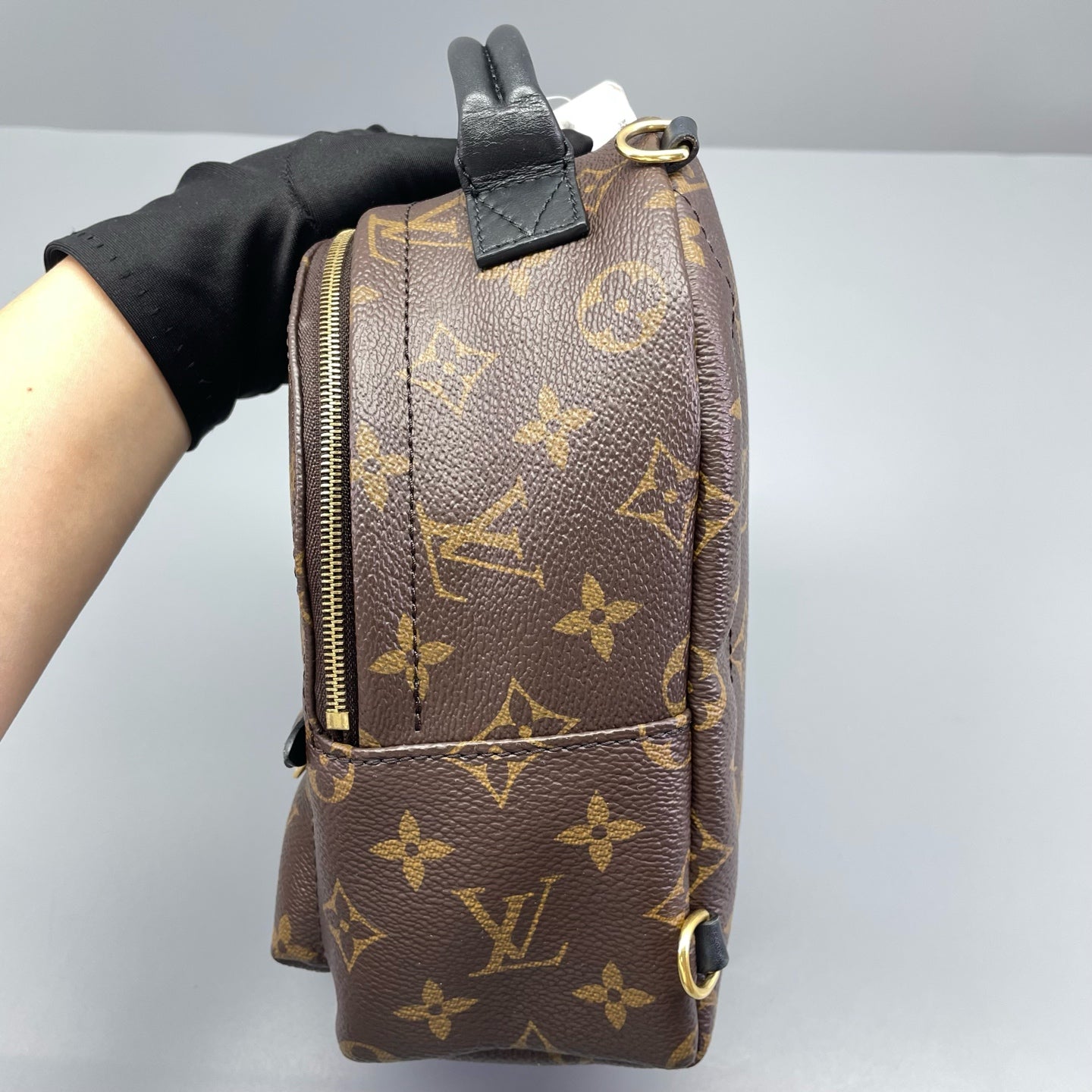 Louis Vuitton - Palm Springs Mini Backpack - Monogram coated canvas with leather trim - Brown - (mini)