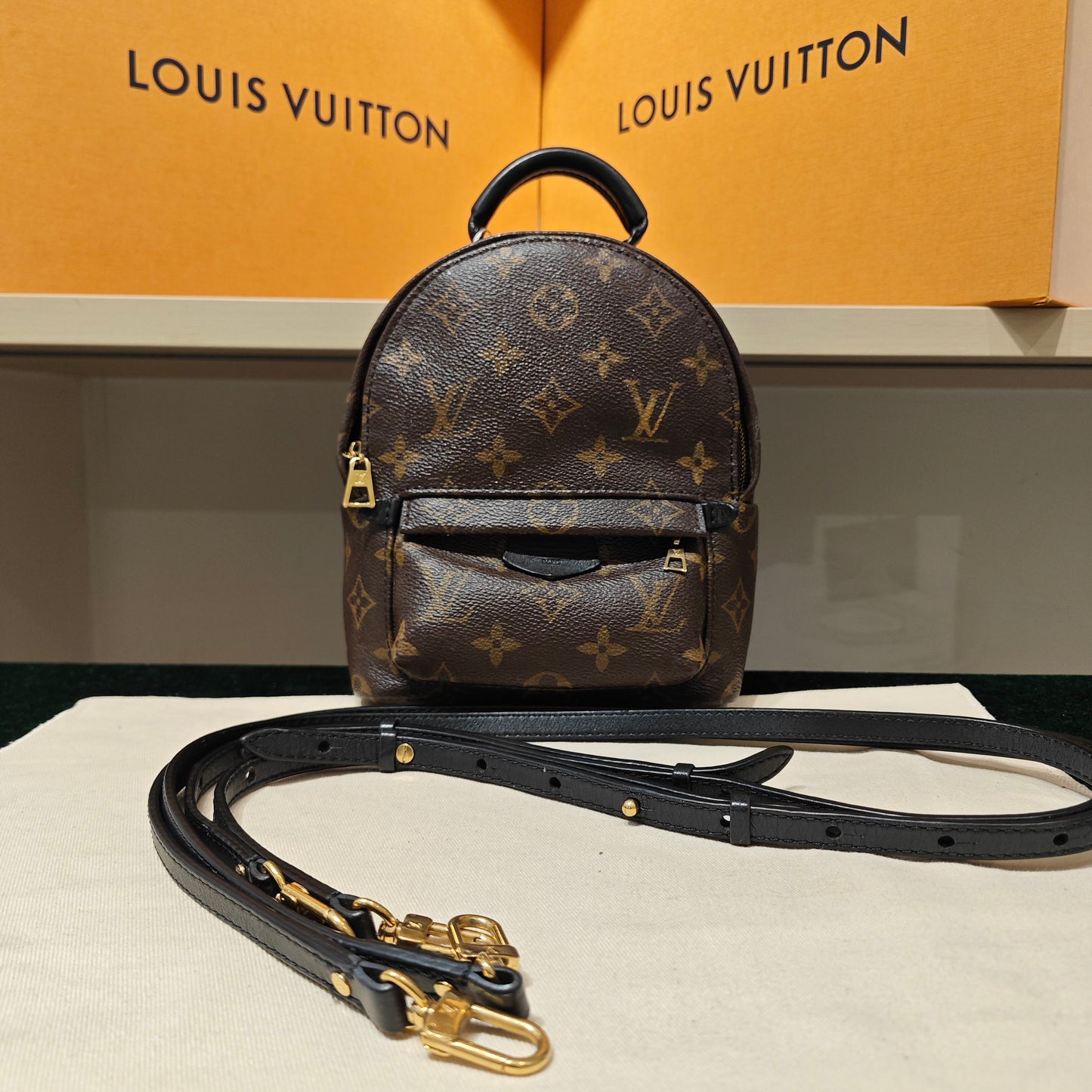 Louis Vuitton - Palm Springs Mini - Monogram coated canvas with leather trim - Brown - (mini)