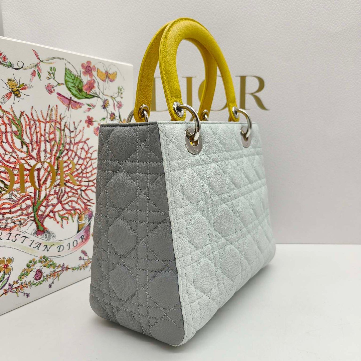 Dior - Lady Dior Medium (5-Grid) - Grained leather - Multicolour - (medium)