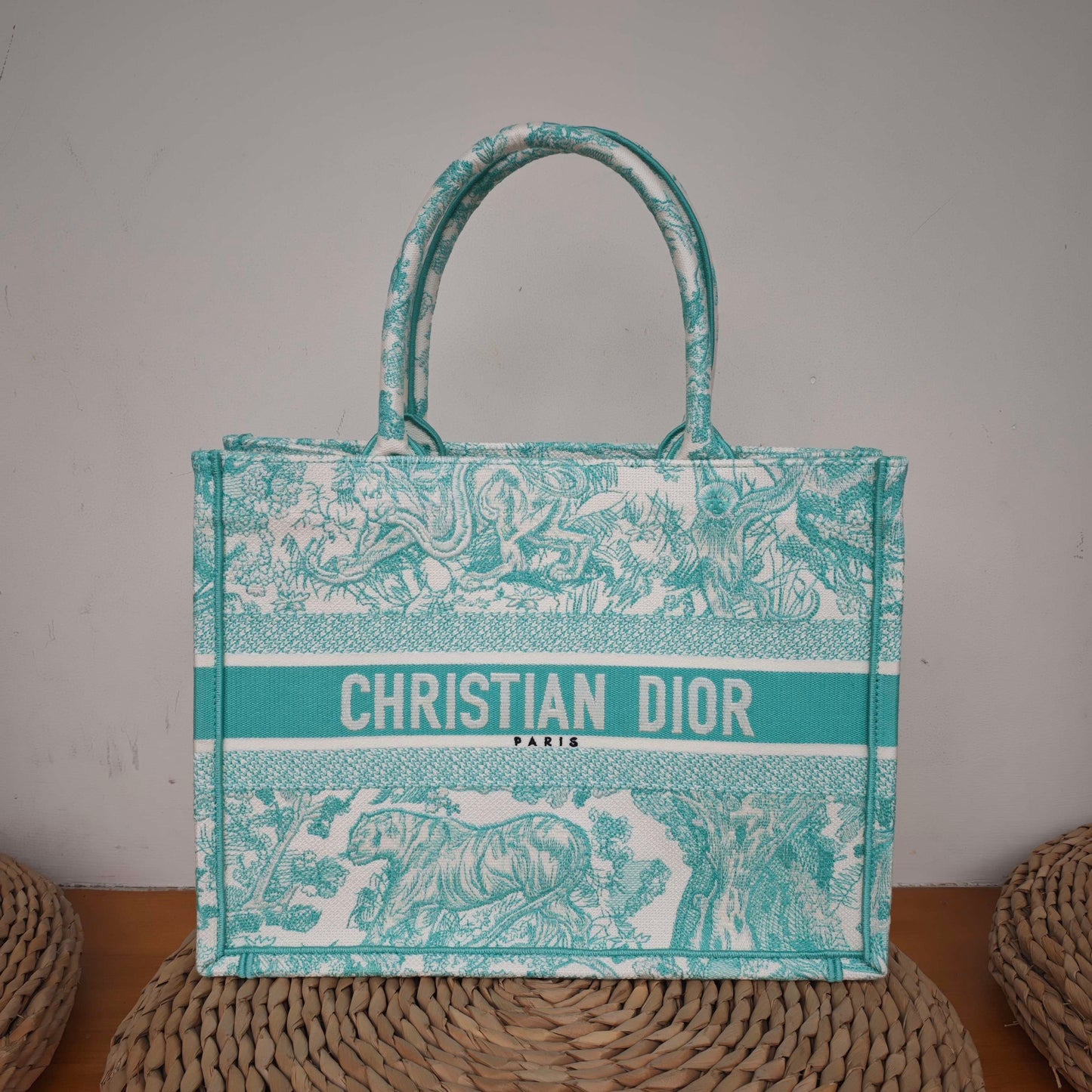 Dior - Book Tote - Embroidered Canvas - Mint Green and White - (medium)
