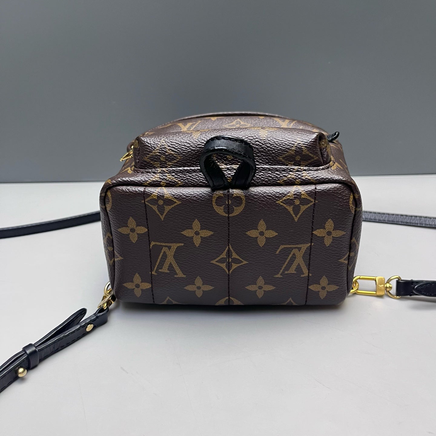 Louis Vuitton - Palm Springs Mini Backpack - Monogram coated canvas with leather trim - Brown - (mini)