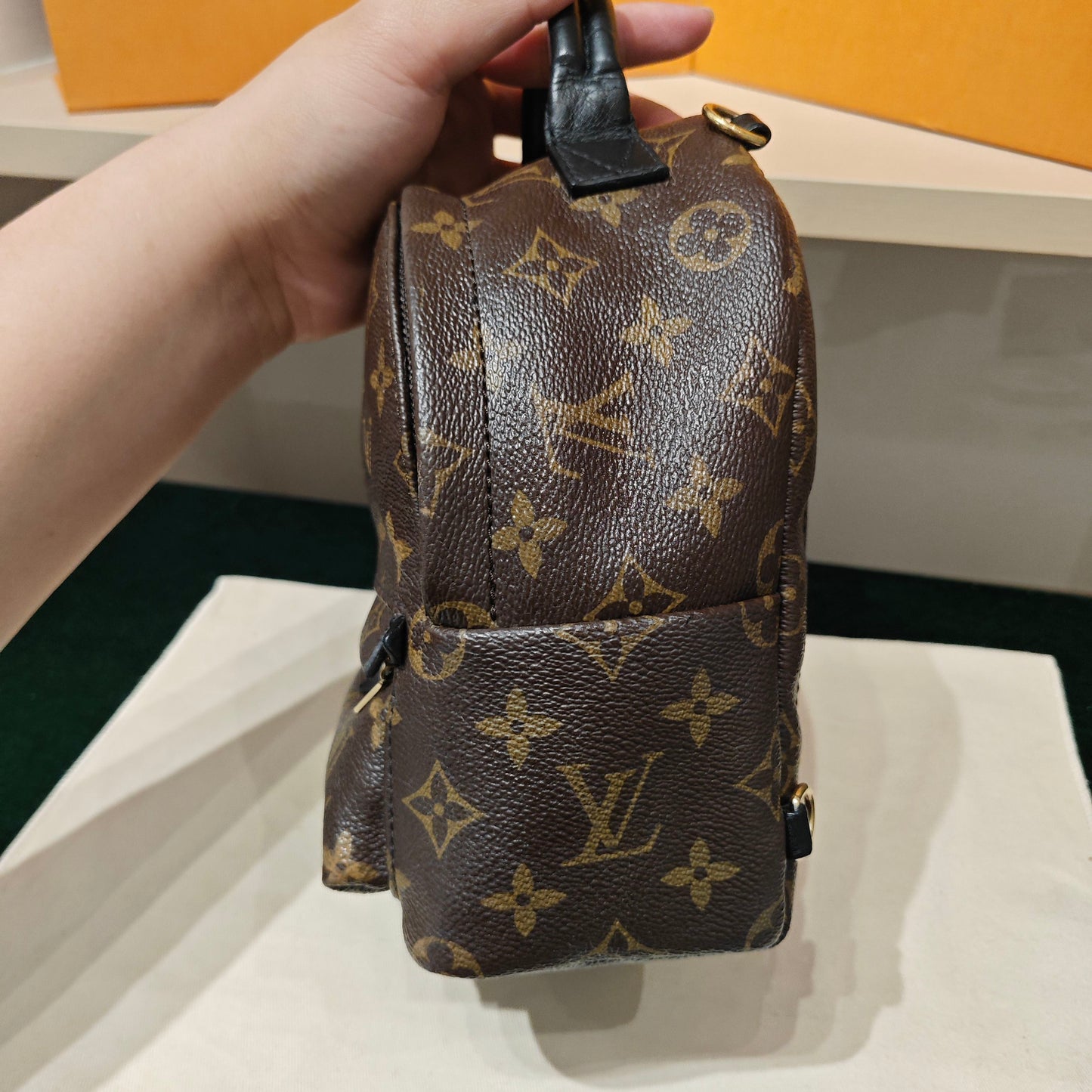 Louis Vuitton - Palm Springs Mini - Monogram coated canvas with leather trim - Brown - (mini)