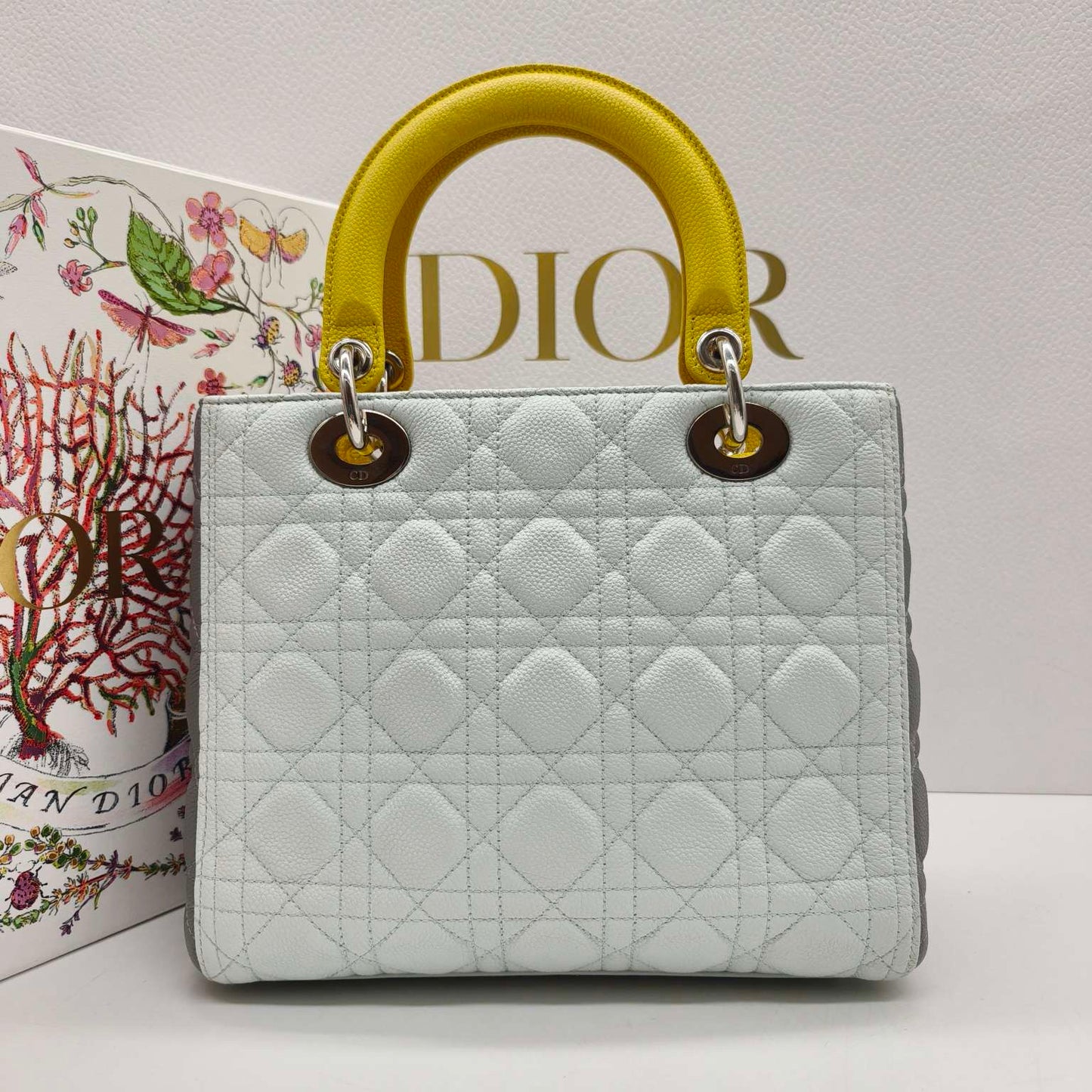 Dior - Lady Dior Medium (5-Grid) - Grained leather - Multicolour - (medium)