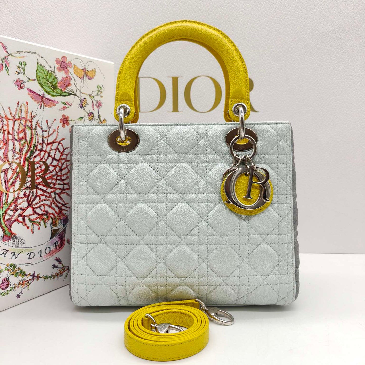 Dior - Lady Dior Medium (5-Grid) - Grained leather - Multicolour - (medium)
