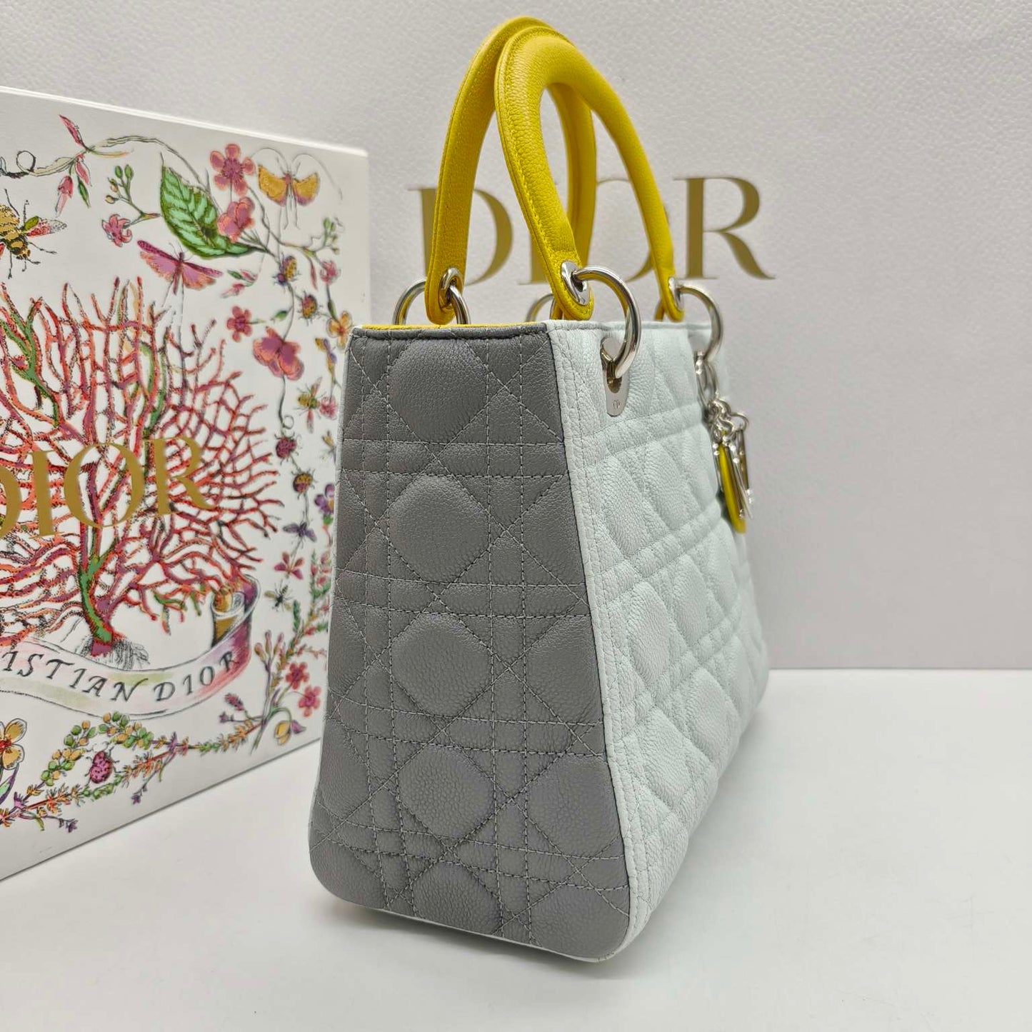 Dior - Lady Dior Medium (5-Grid) - Grained leather - Multicolour - (medium)