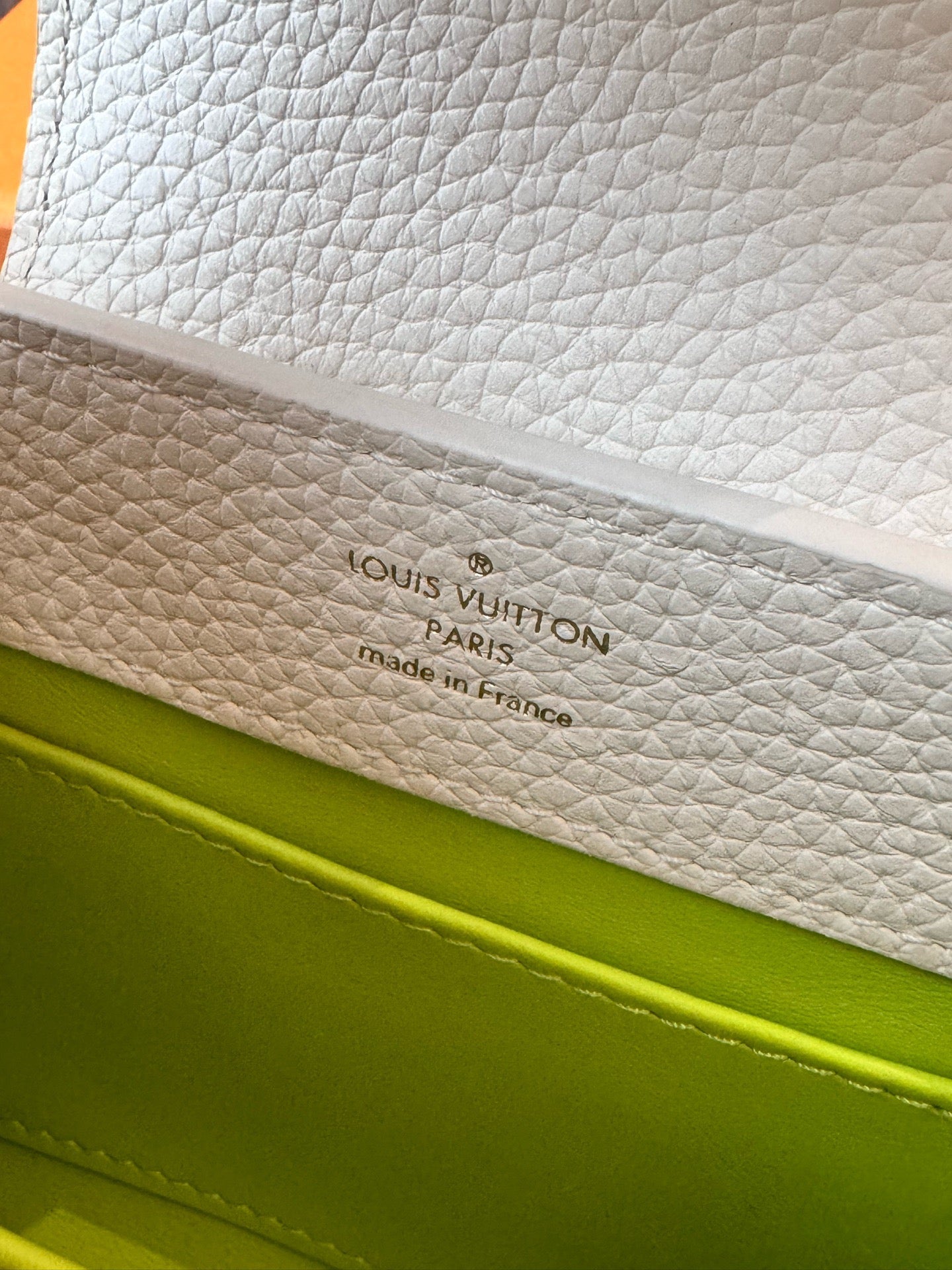 Louis Vuitton - Capucines Mini - Taurillon leather with embroidered textile - Green - (mini)