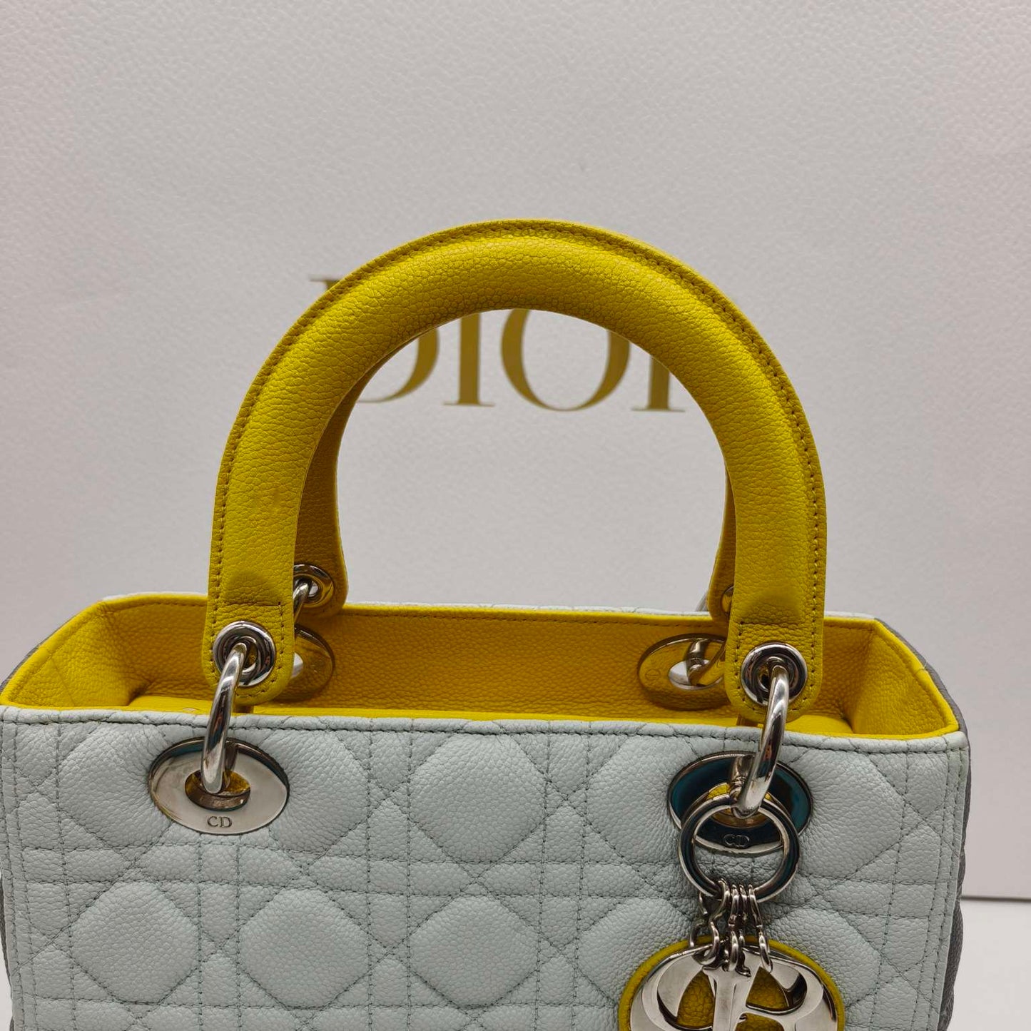 Dior - Lady Dior Medium (5-Grid) - Grained leather - Multicolour - (medium)