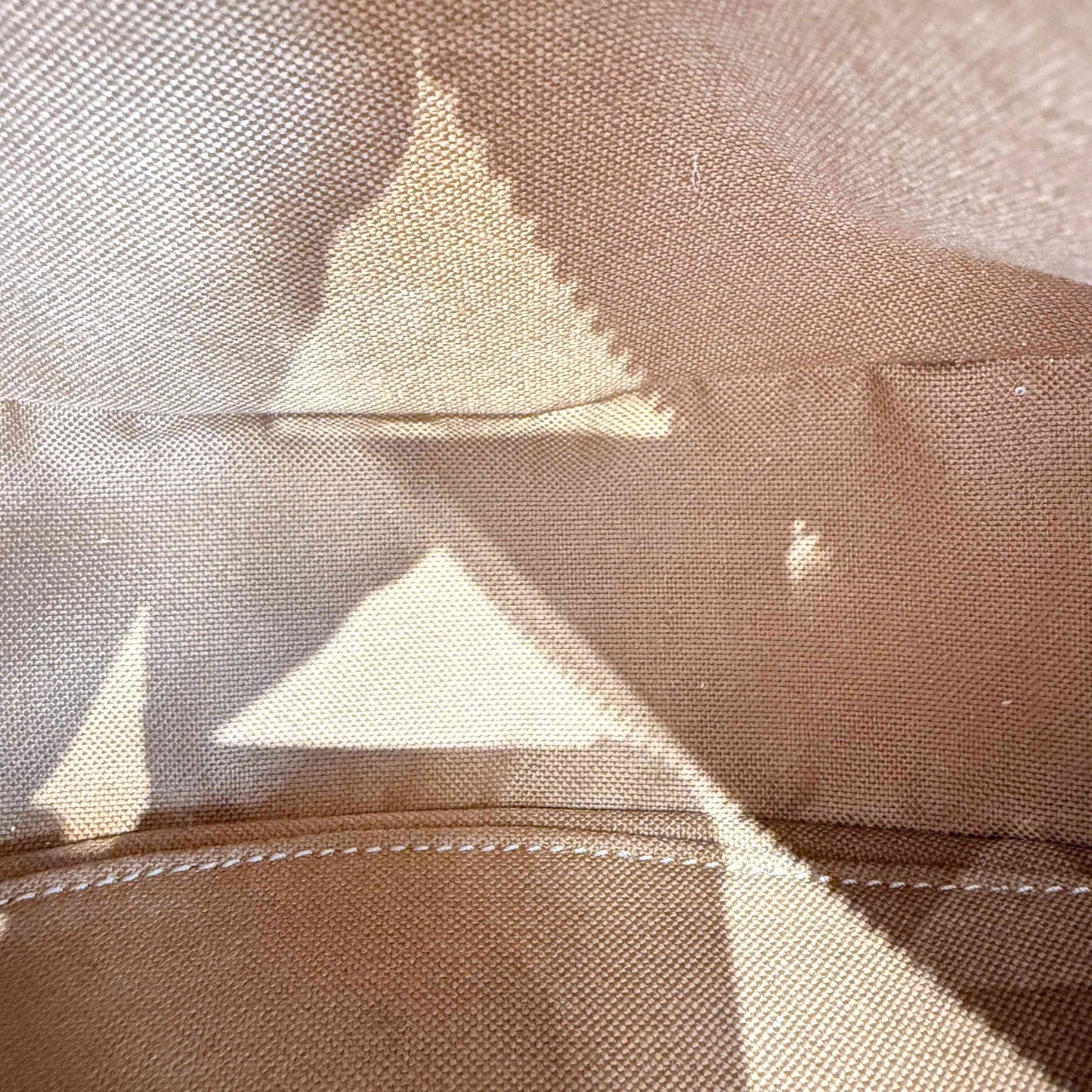 Celine - Ava Bag - Triomphe Canvas with Leather Trim - Brown - (mini)