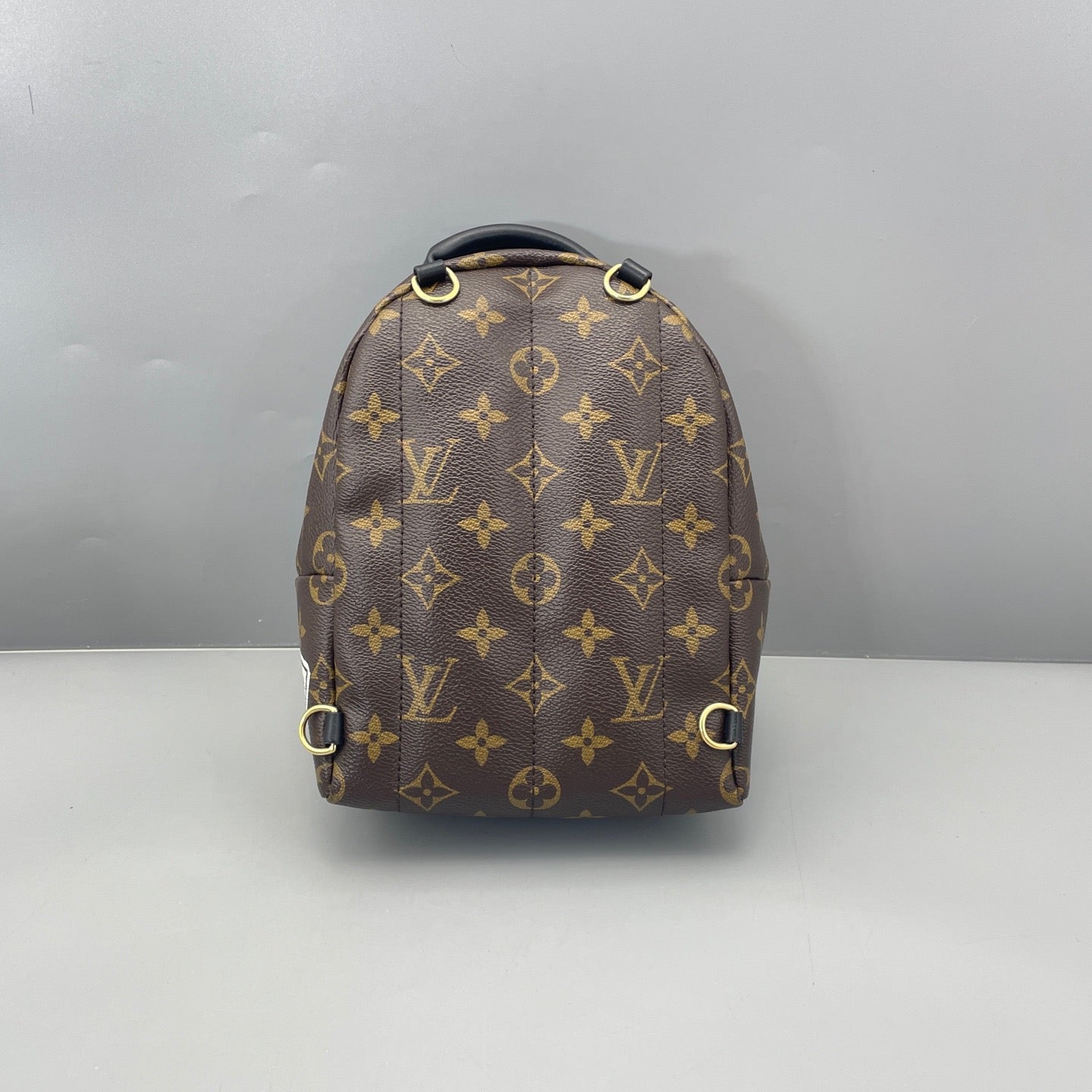 Louis Vuitton - Palm Springs Mini Backpack - Monogram coated canvas with leather trim - Brown - (mini)