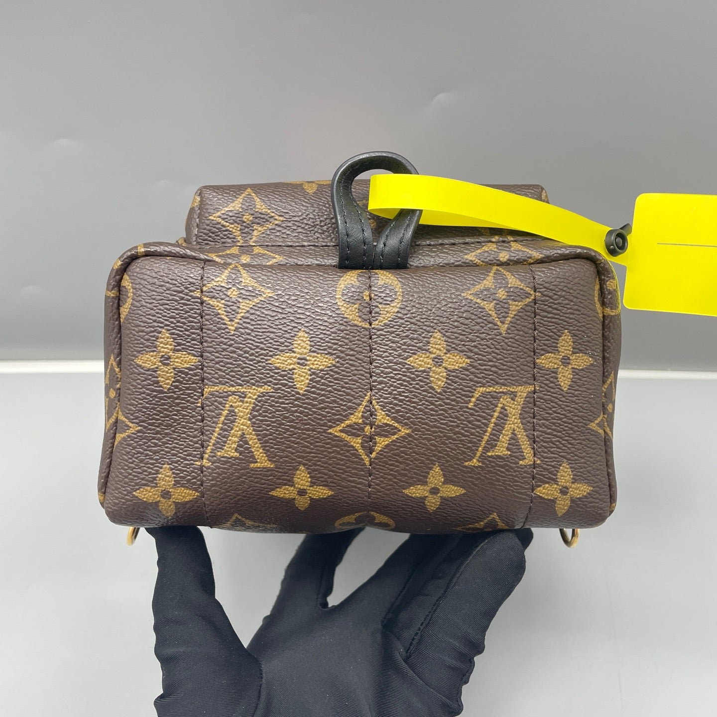 Louis Vuitton - Palm Springs Mini Backpack - Monogram coated canvas with leather trim - Brown - (mini)