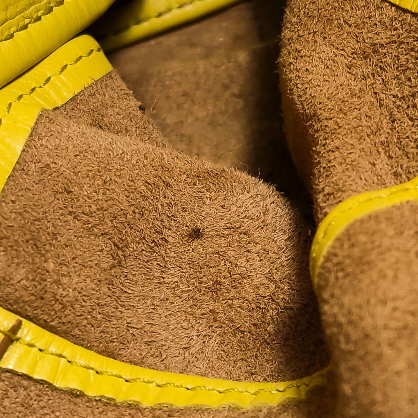 Bottega Veneta - Arco - Leather - Yellow - (small)