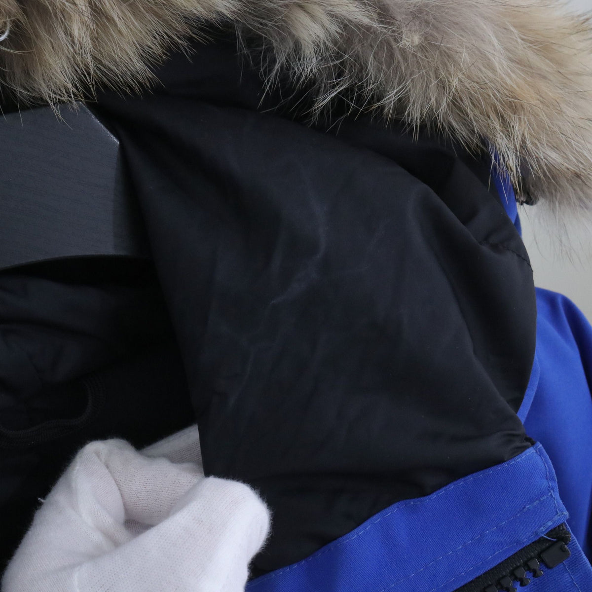 Canada Goose - Expedition - Polyester - Blue - (XS)
