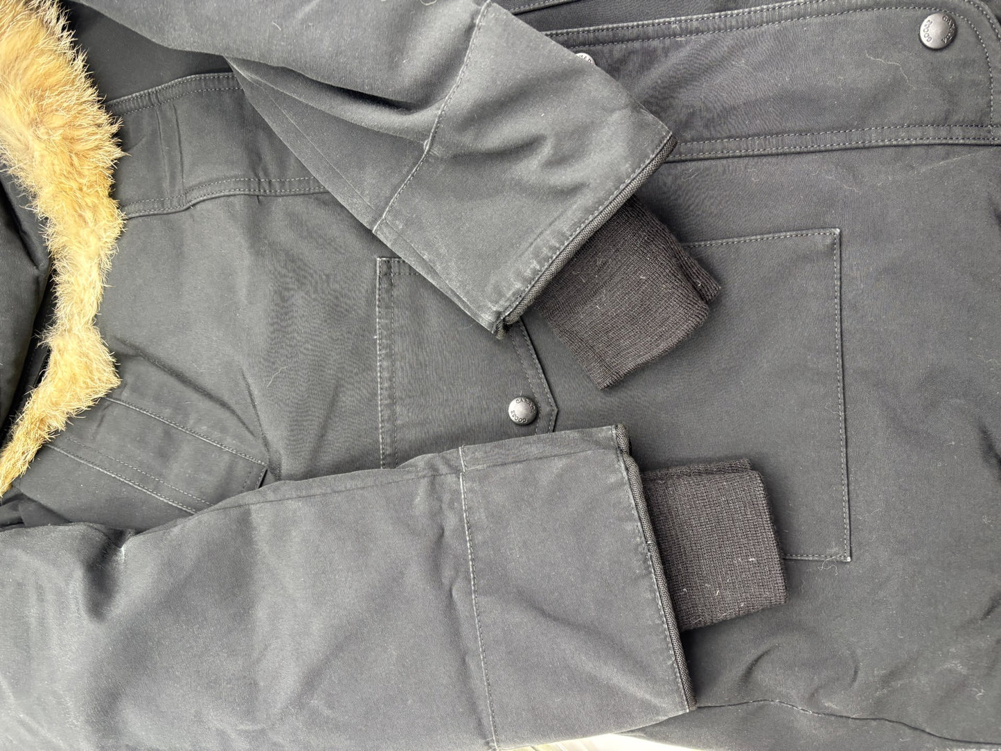 Canada Goose - Trillium - Polyester - Black - (L)