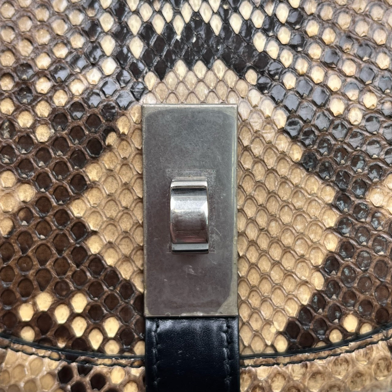 Celine - Besace - Exotic leathers - Python - Multicolour - (mini)