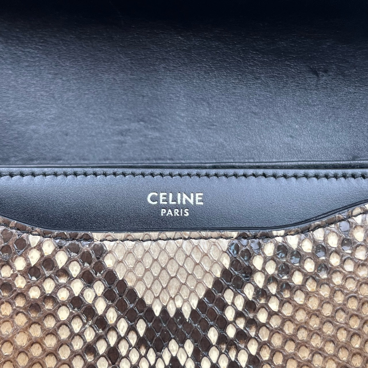Celine - Besace - Exotic leathers - Python - Multicolour - (mini)