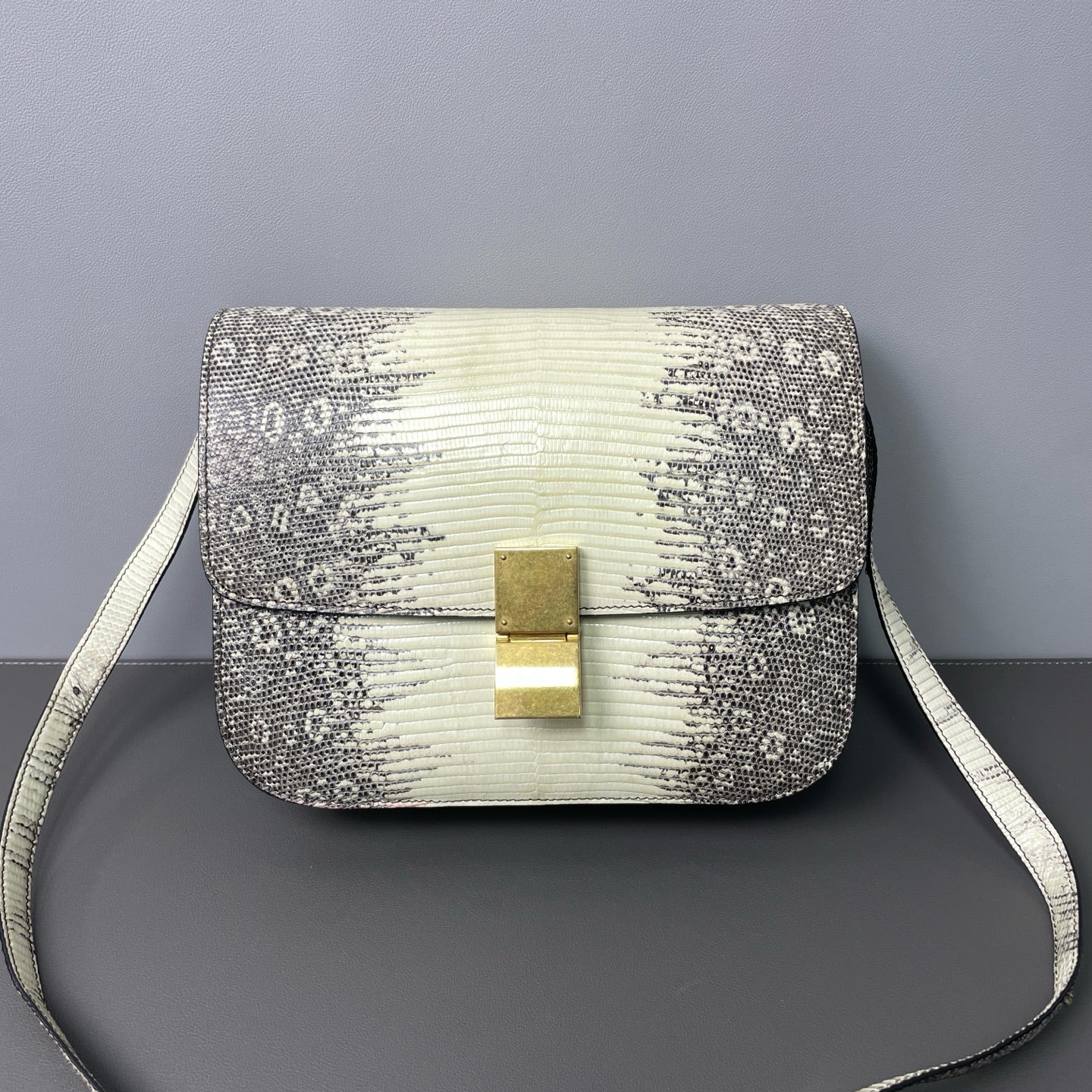 Celine - Box Bag - Lizard Leather - White and Grey - (Small)