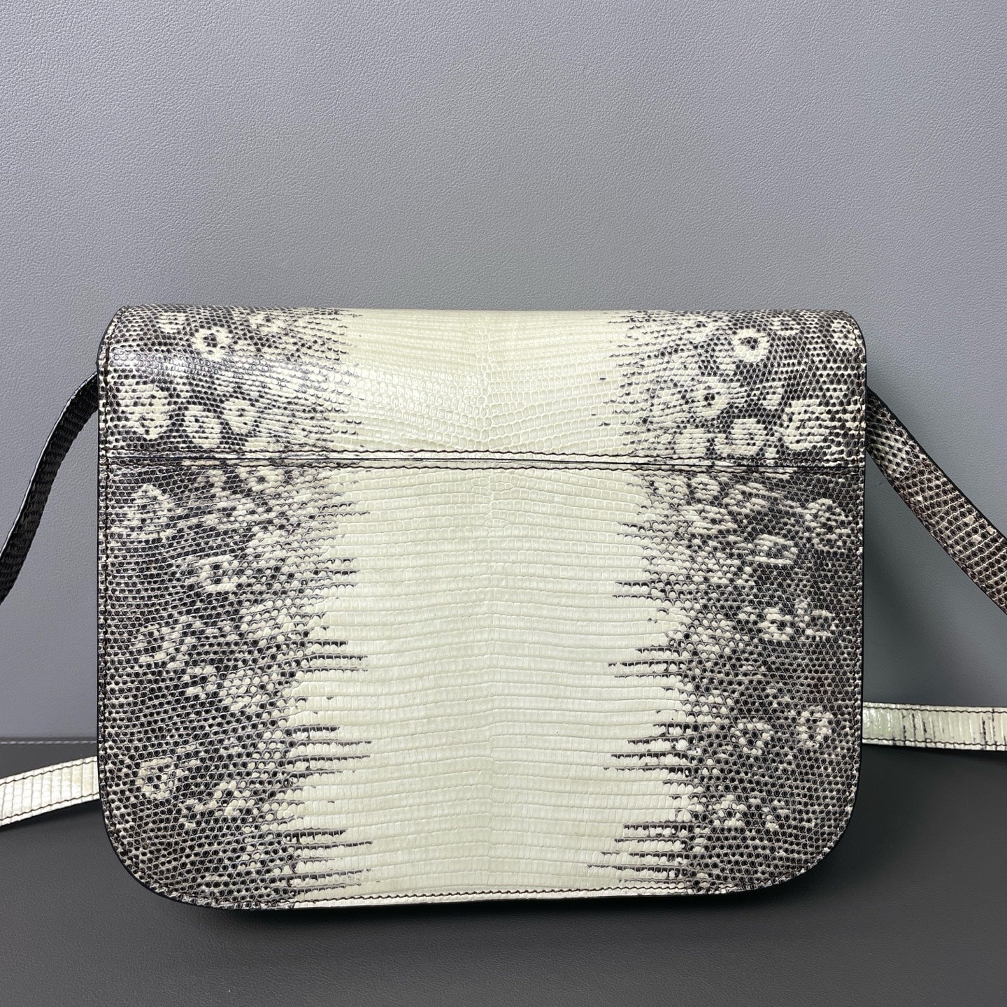 Celine - Box Bag - Lizard Leather - White and Grey - (Small)