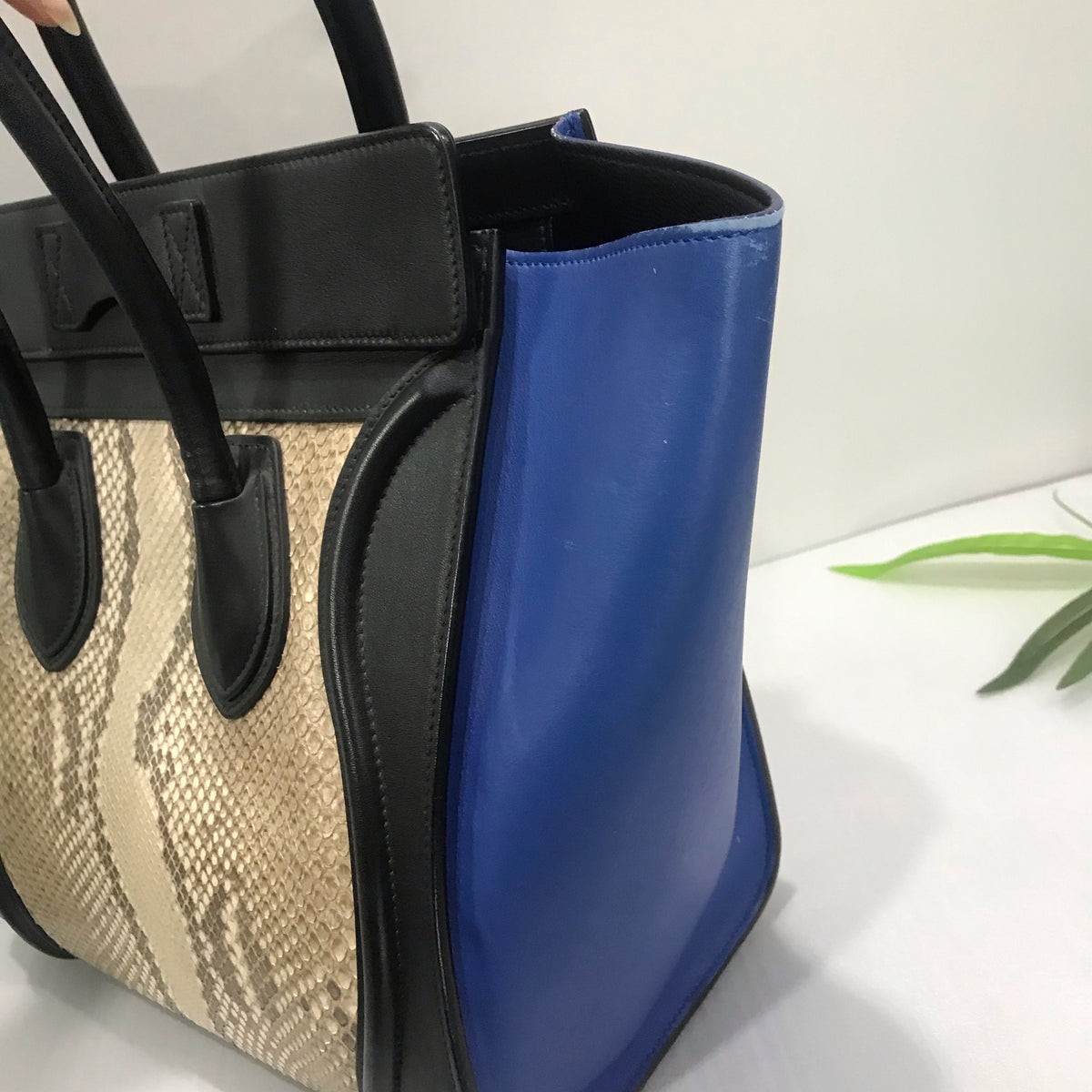 Celine - Luggage - Exotic leathers - Python - Multicolour